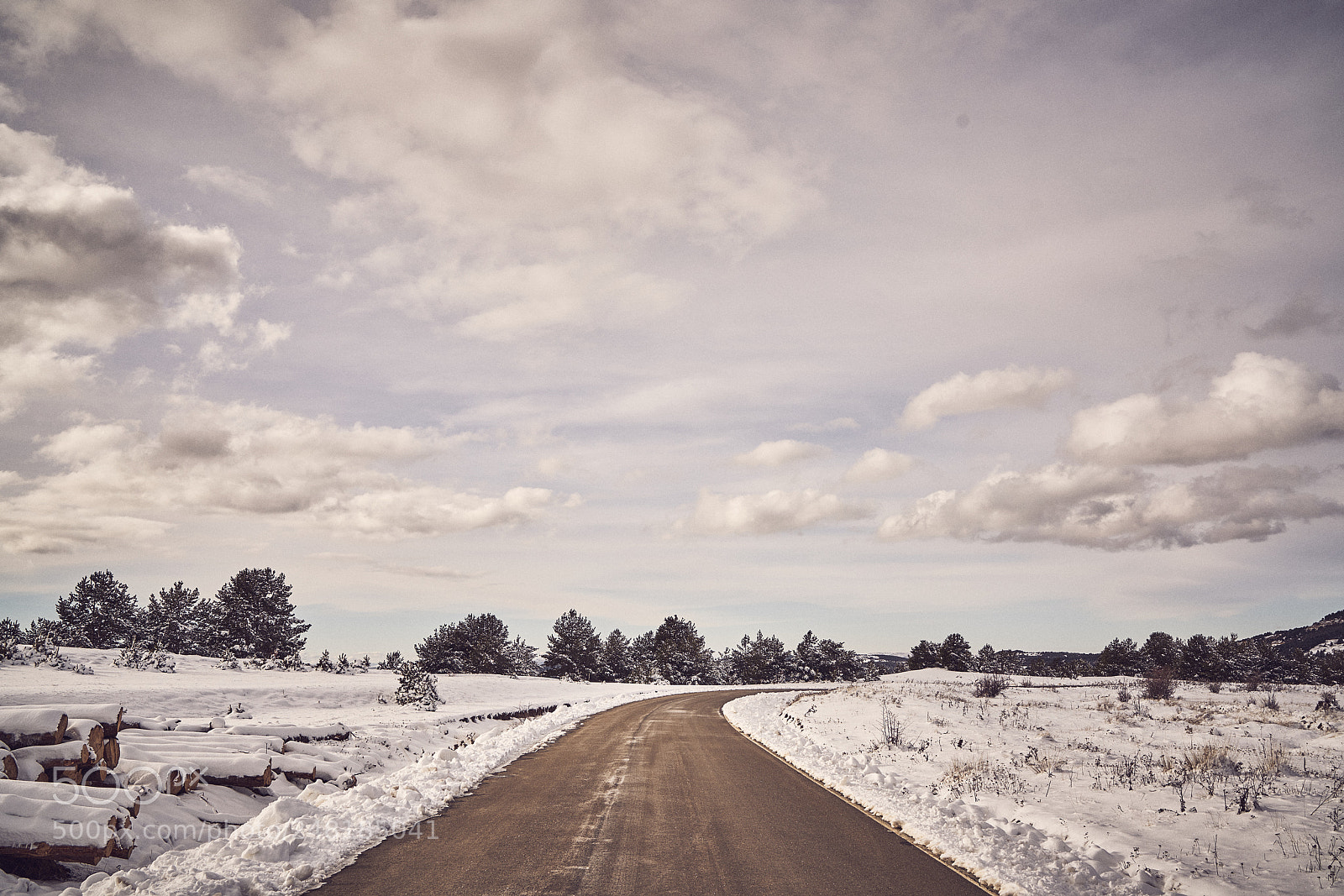 Sony a7R II sample photo. Snow snowday winter winterland photography