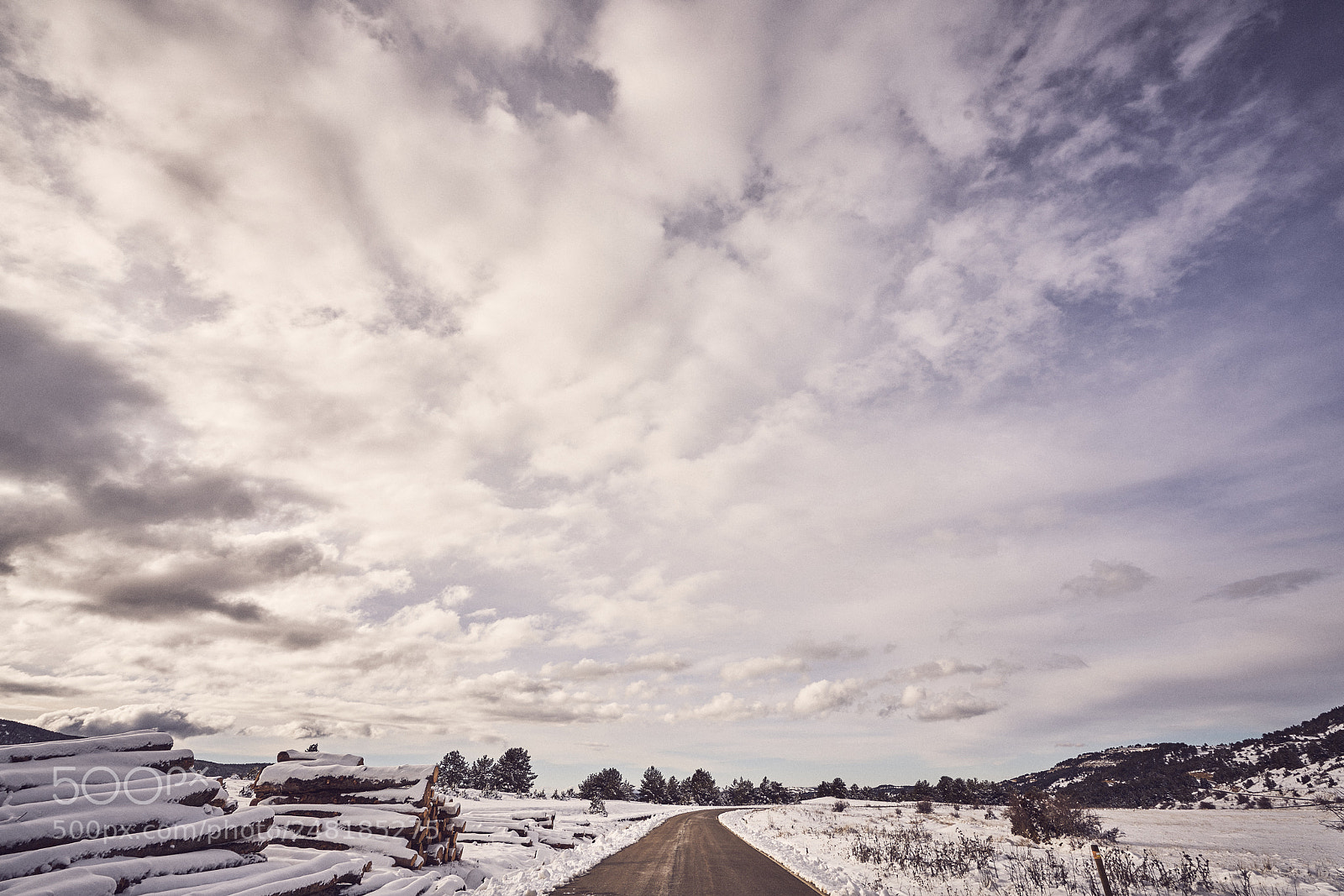 Sony a7R II sample photo. Snow snowday winter winterland photography