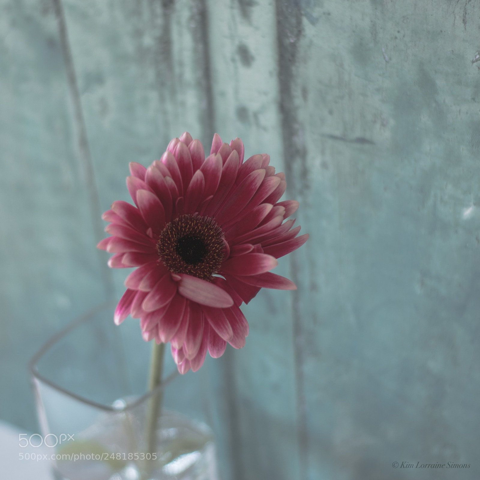 Nikon D5600 sample photo. To brighten a rainy photography
