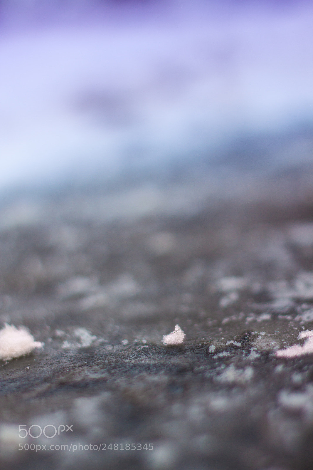 Canon EOS 50D sample photo. Ground photography