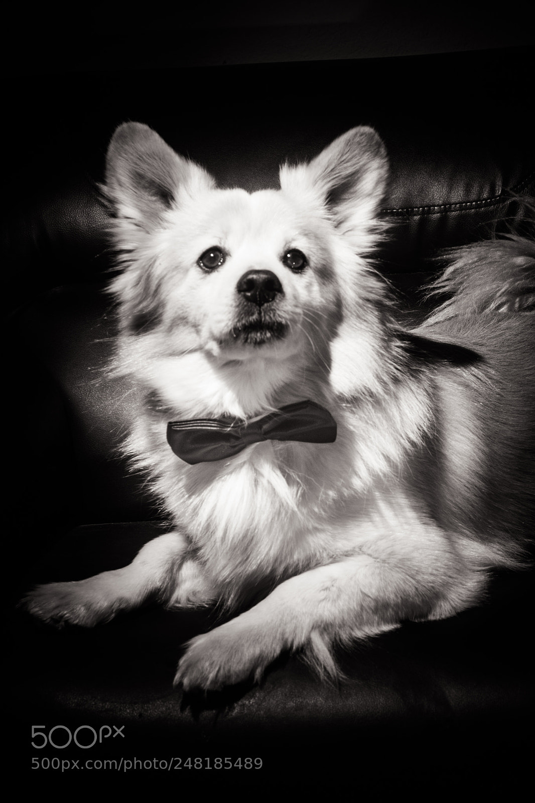 Nikon D7500 sample photo. Dsc photography