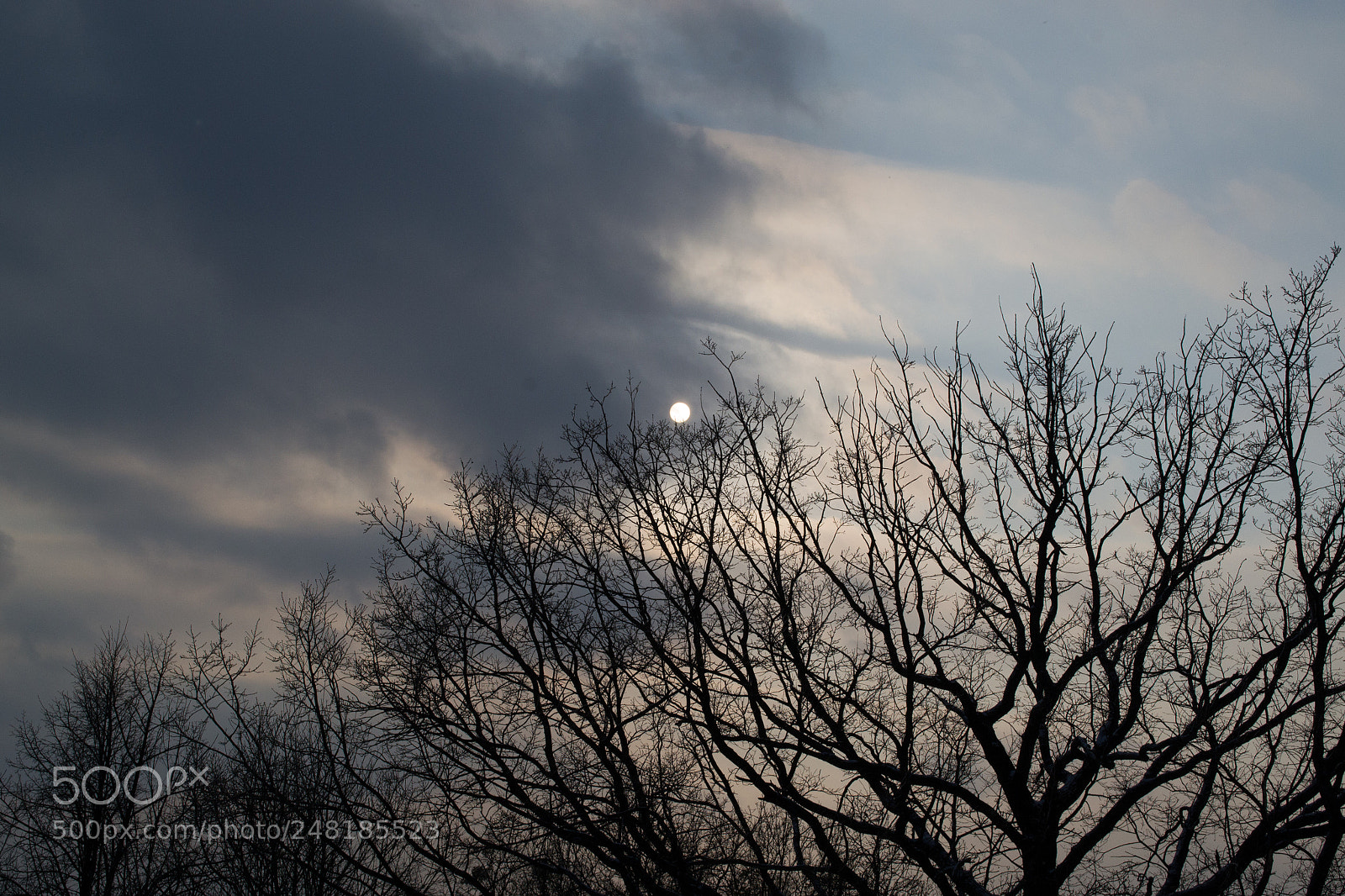 Nikon D3100 sample photo. Winter sun photography