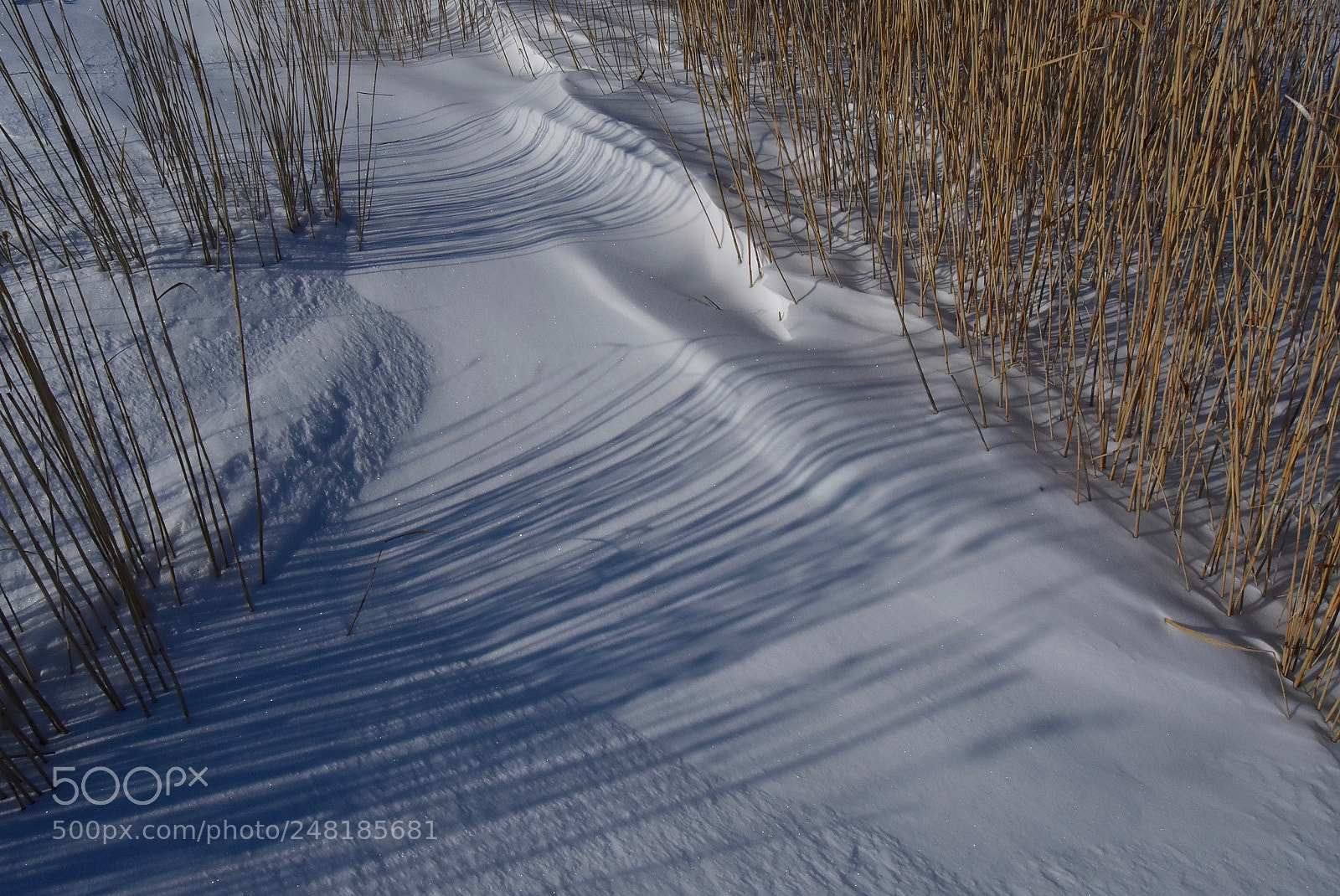Nikon D7200 sample photo. Lines photography