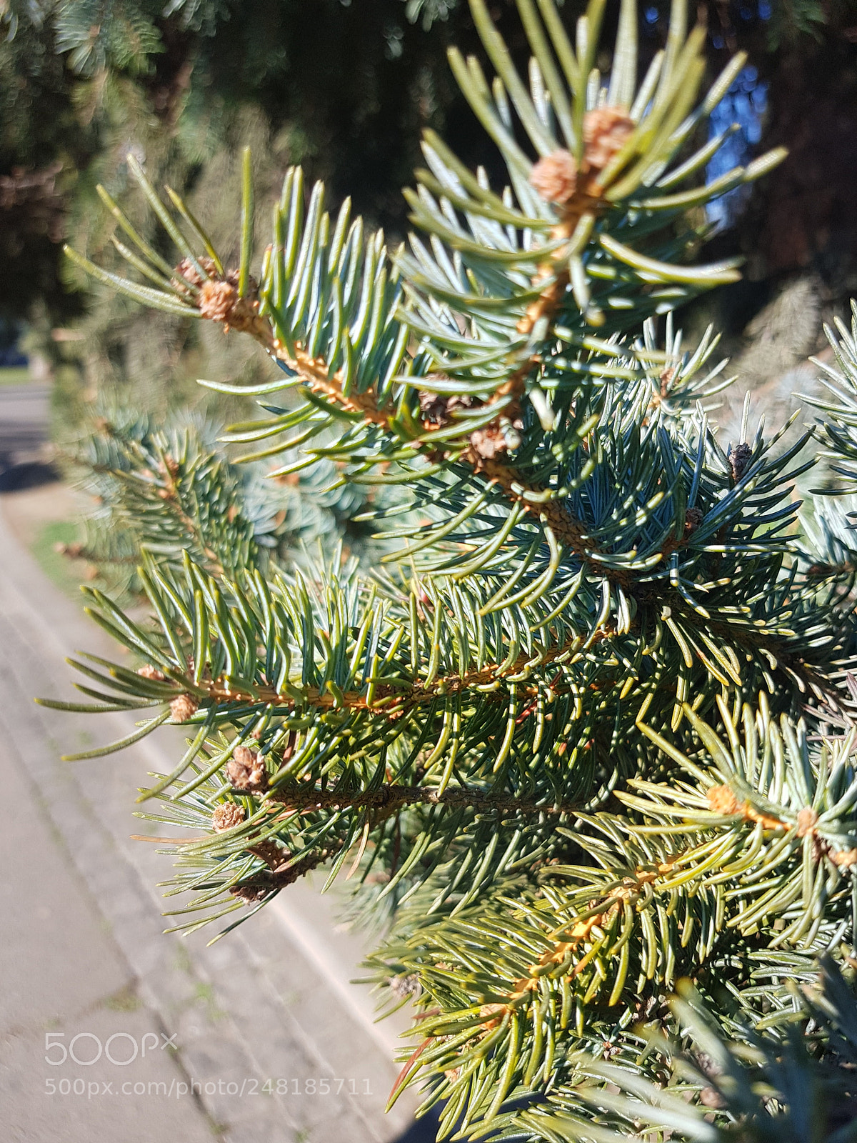 Samsung Galaxy S8 sample photo. Untitled photography