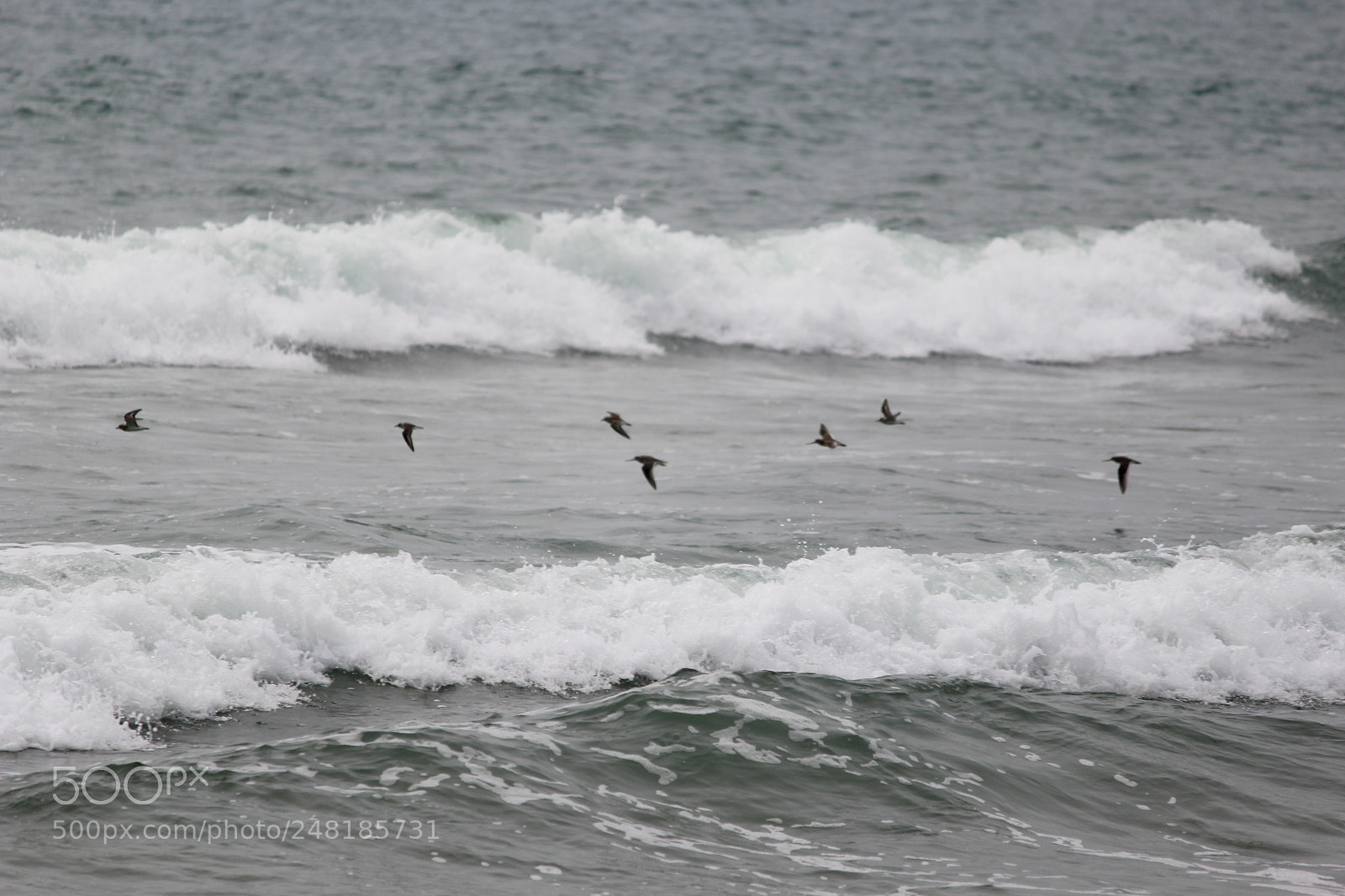 Canon EF-S 55-250mm F4-5.6 IS II sample photo. Untitled photography