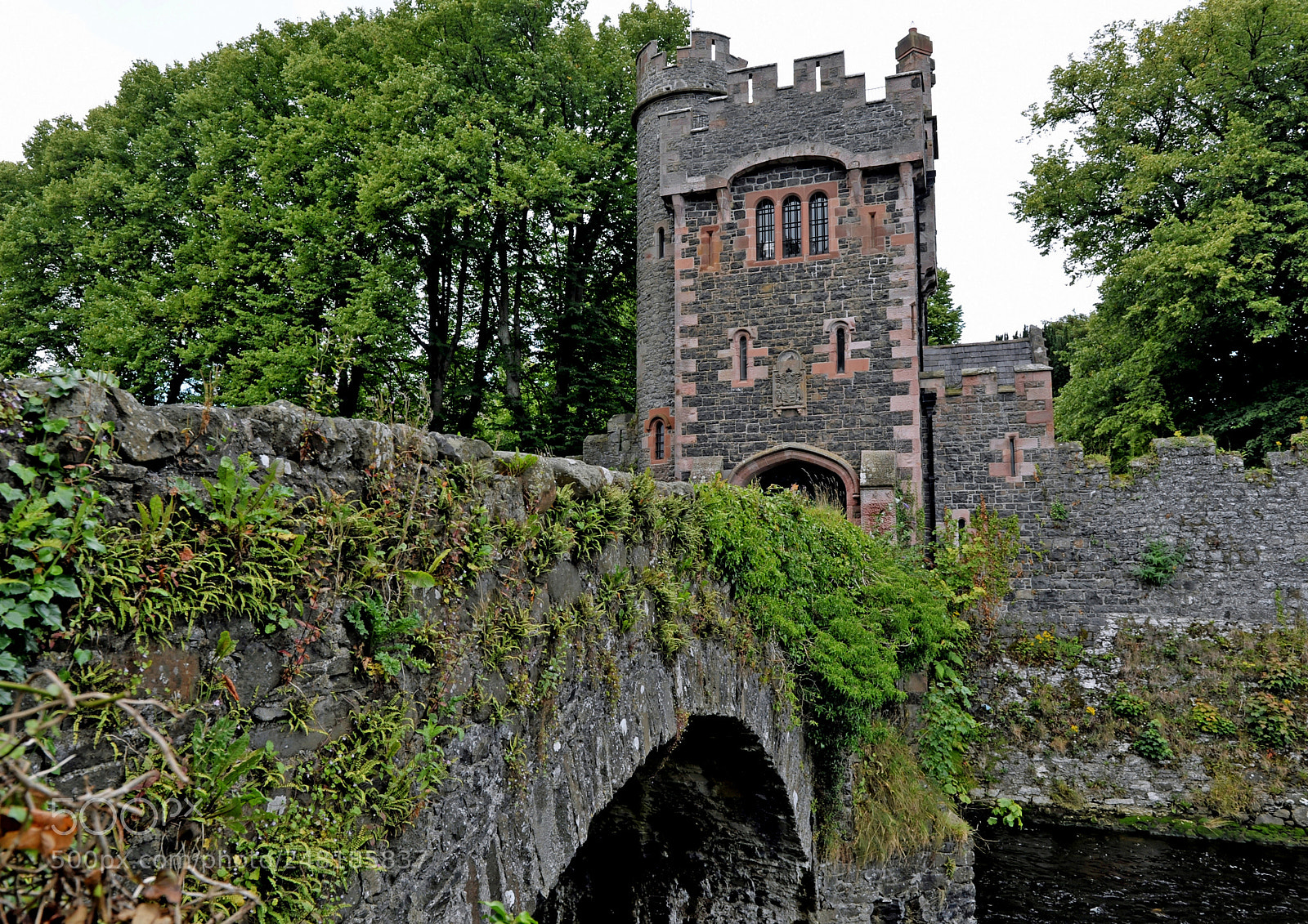 Nikon D700 sample photo. Glenarm northern ireland photography