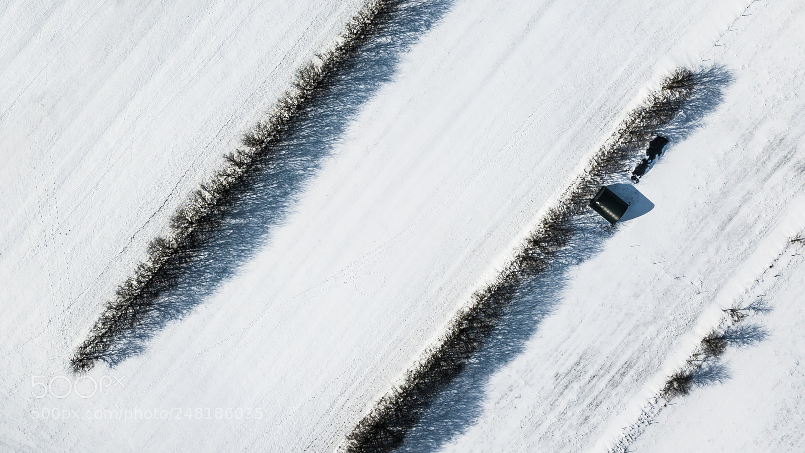 DJI FC220 sample photo. Fields of snow photography