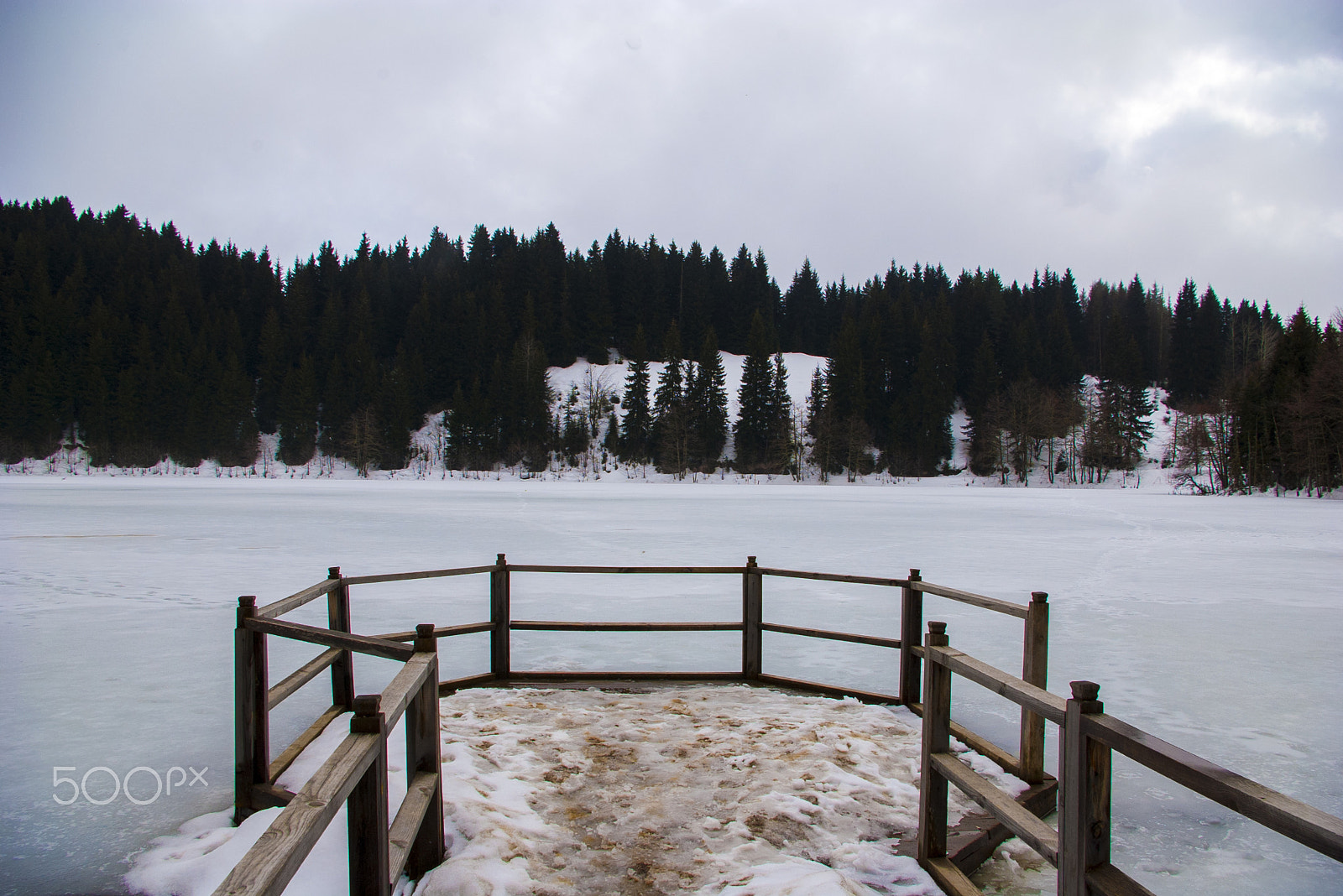 Pentax K100D Super sample photo. Cold forest photography