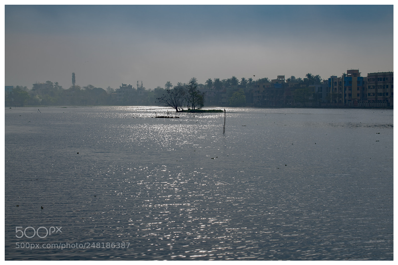 Nikon D5300 sample photo. Santragachi jheel photography
