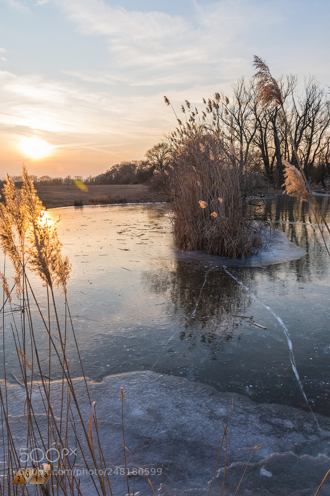 Nikon D7200 sample photo. Risse photography