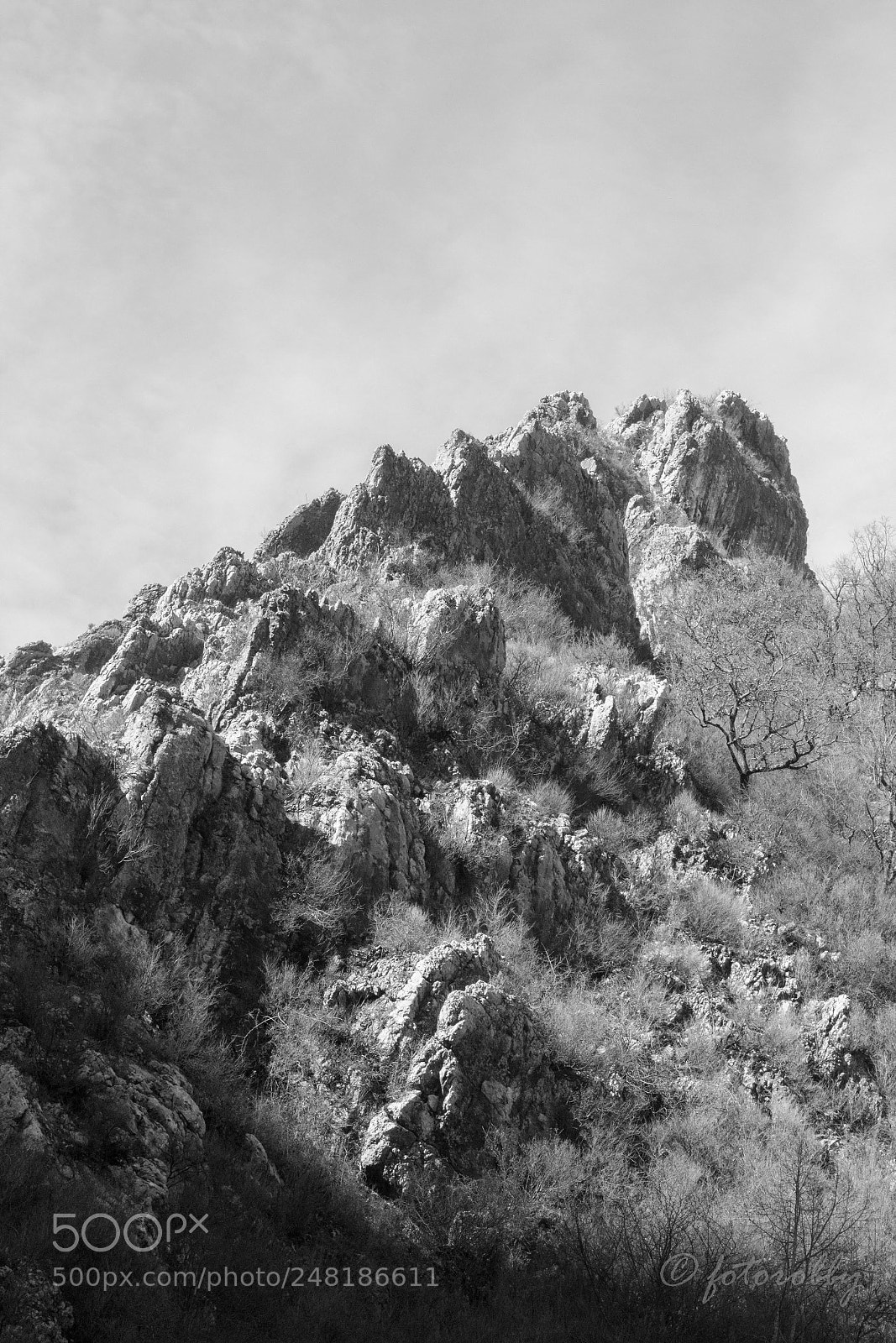 Canon EOS 600D (Rebel EOS T3i / EOS Kiss X5) sample photo. Rock photography