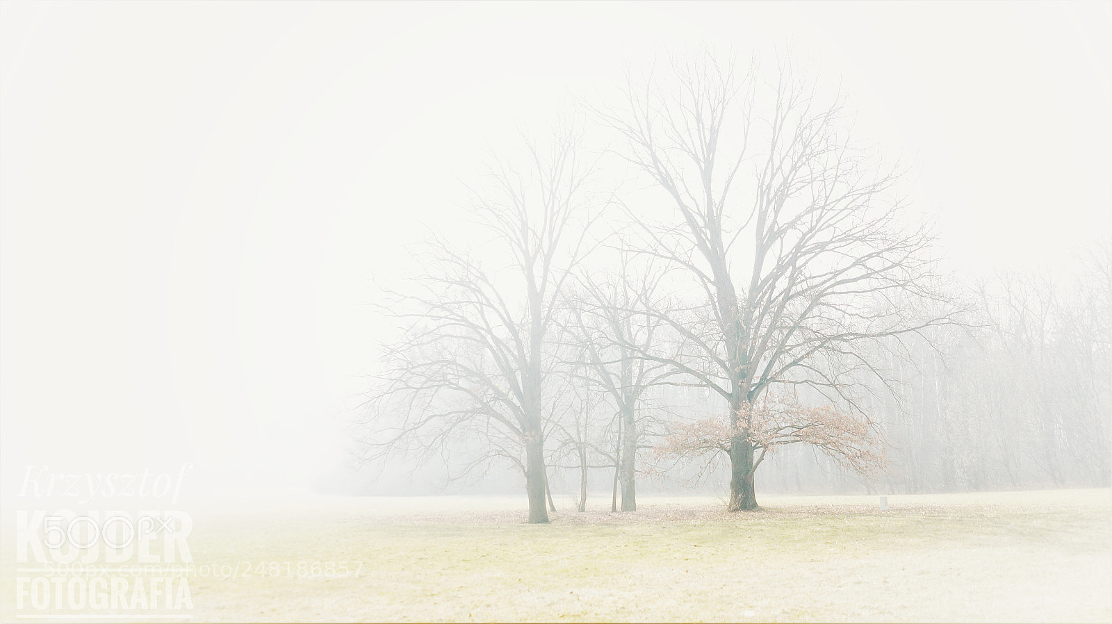 Sony SLT-A58 sample photo. Morning photography