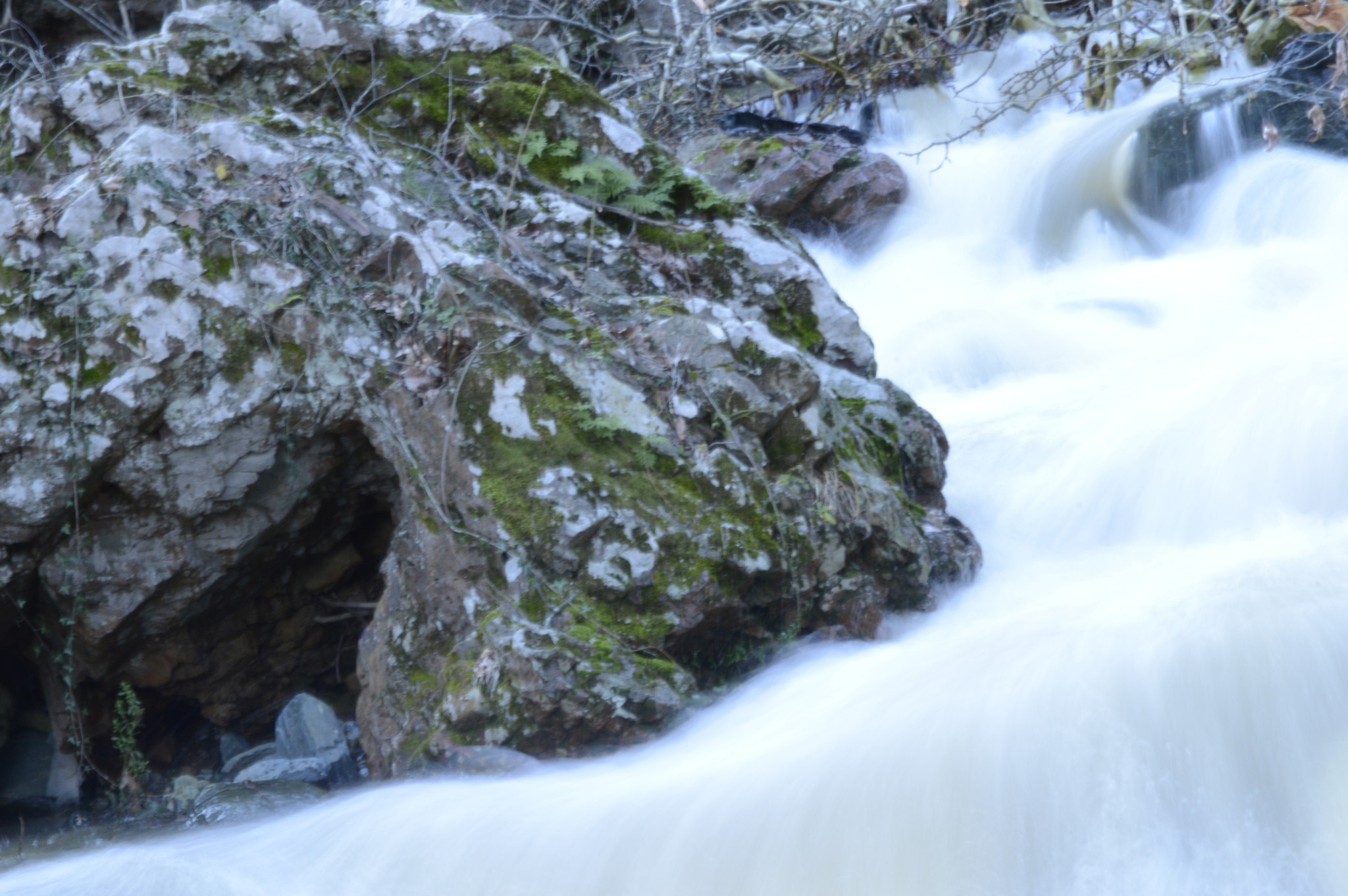 Nikon D3200 sample photo. Rapid photography