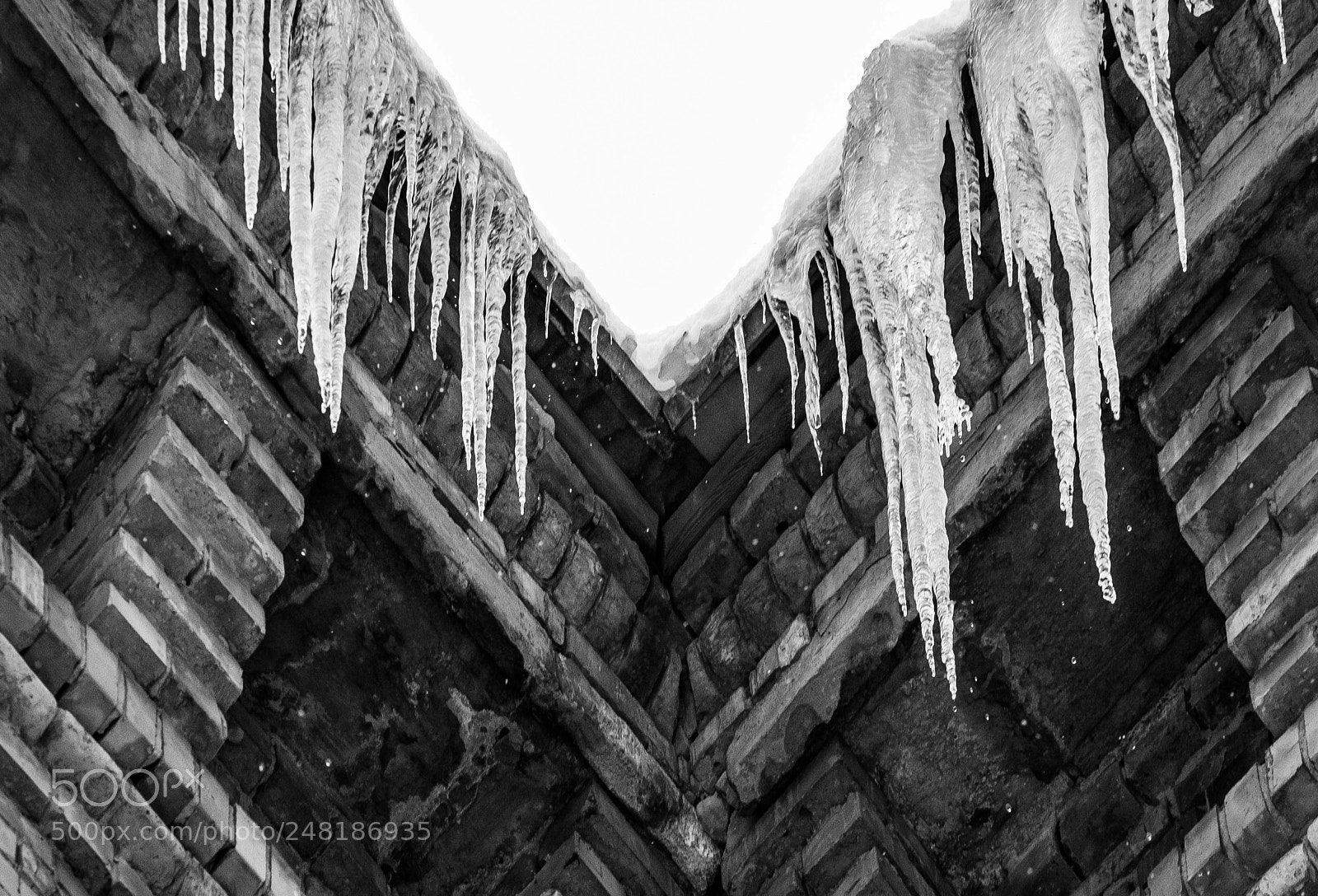 Canon EOS 7D sample photo. Icicle photography