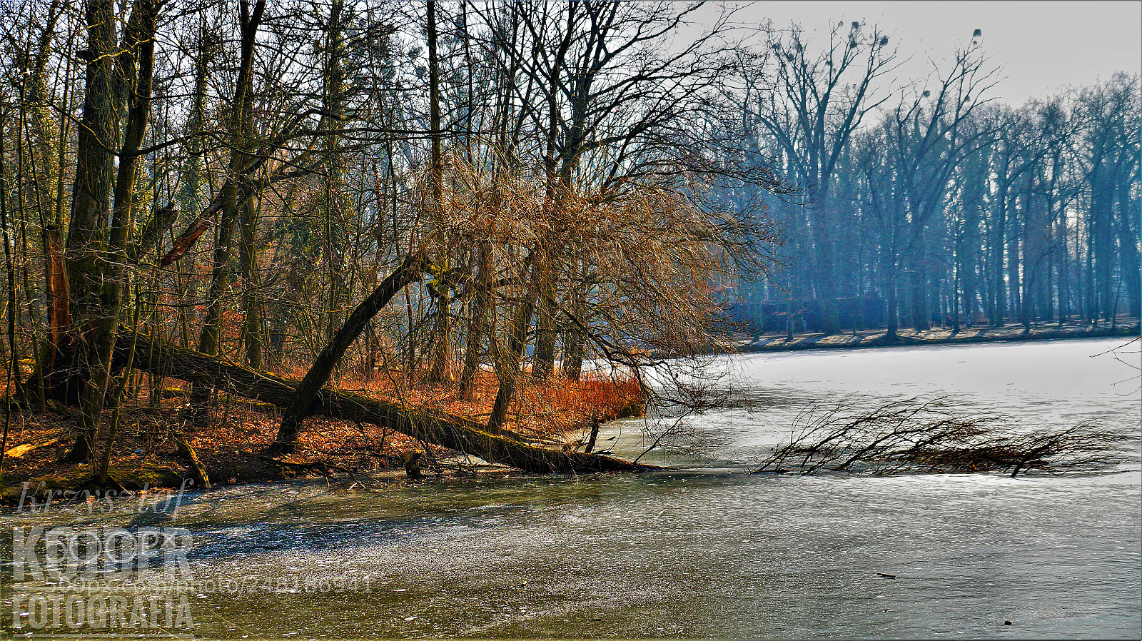 Sony SLT-A58 sample photo. Nature is beautiful photography