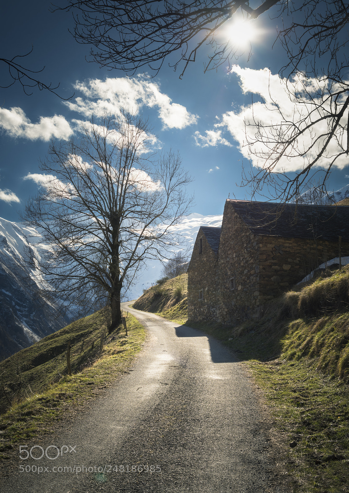 Nikon D5500 sample photo. Mountain road photography