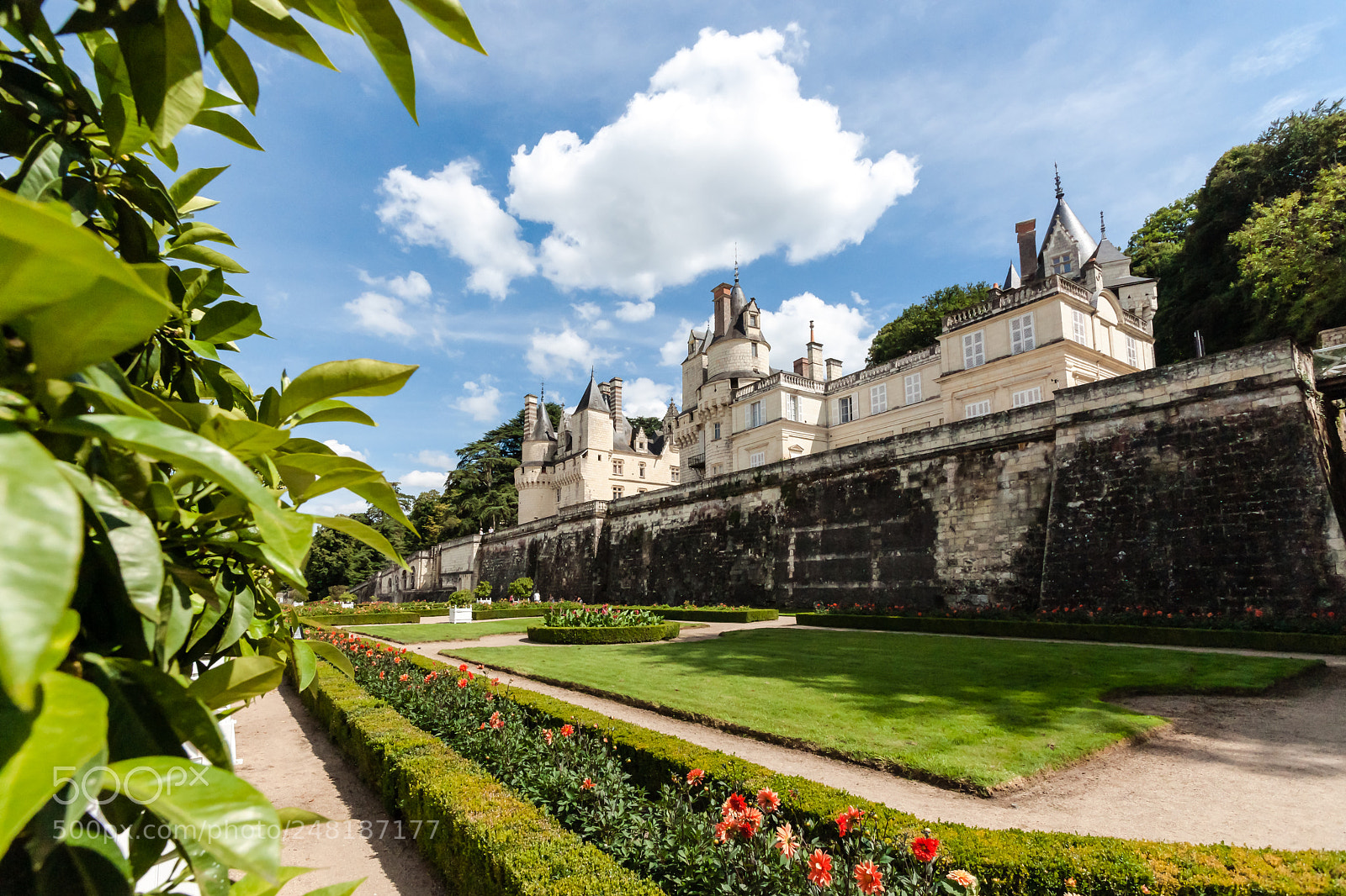 Sony Alpha DSLR-A900 sample photo. Castel of rigny-usse.loire valley photography