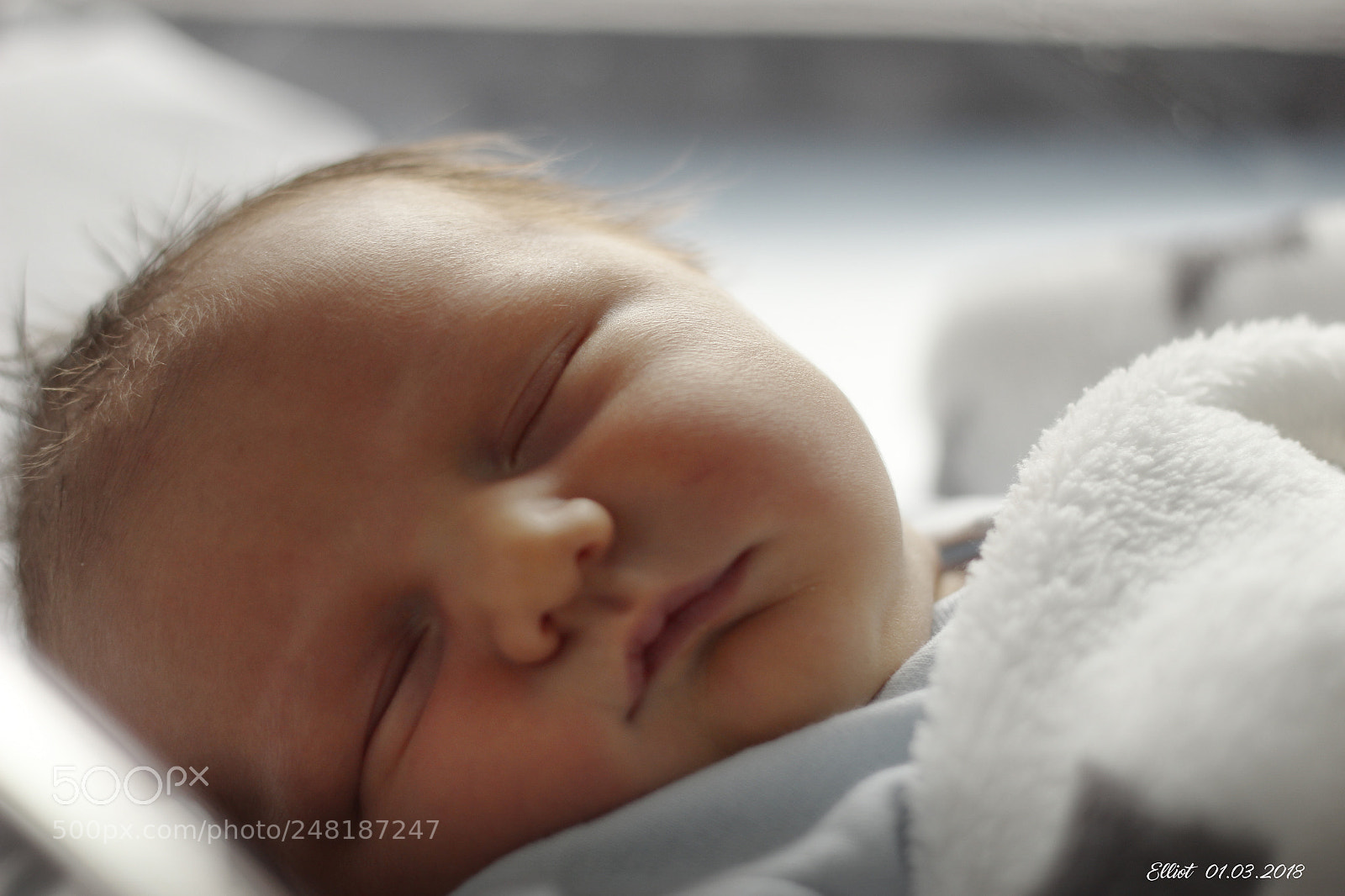 Canon EOS 1200D (EOS Rebel T5 / EOS Kiss X70 / EOS Hi) sample photo. Elliot photography