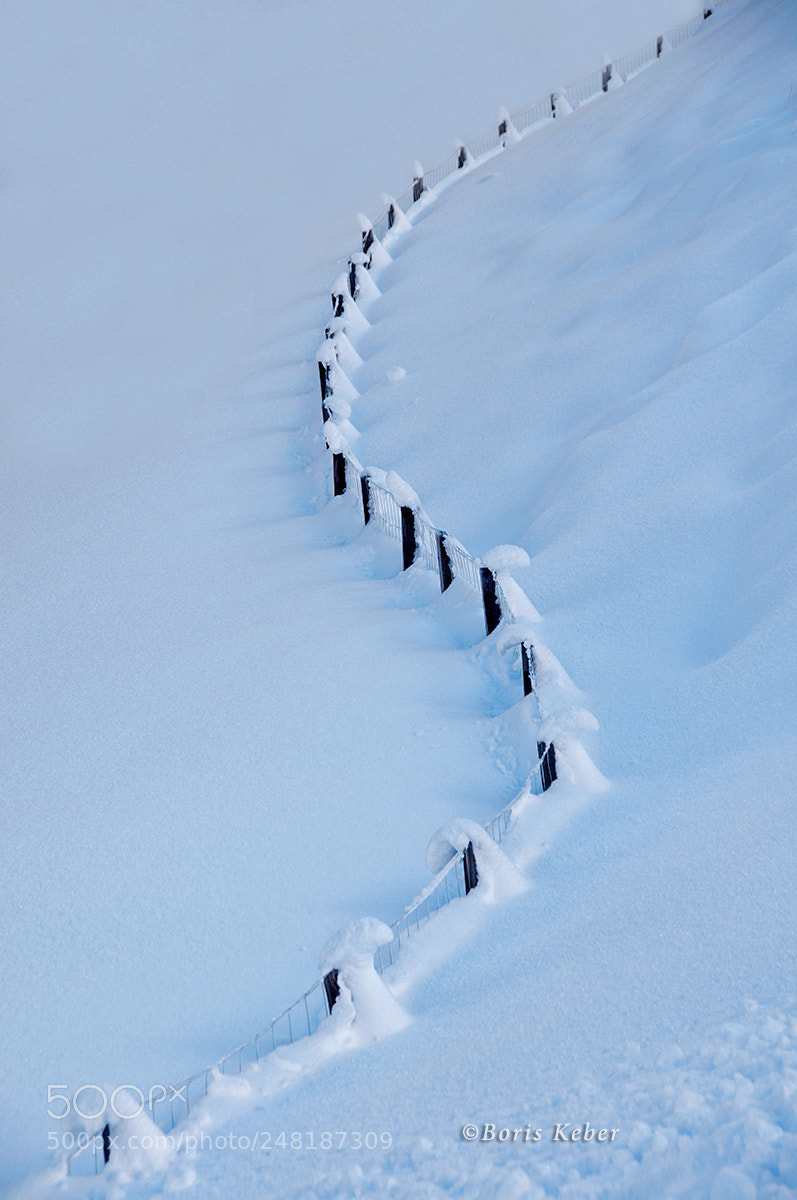 Nikon D300S sample photo. Winter s photography