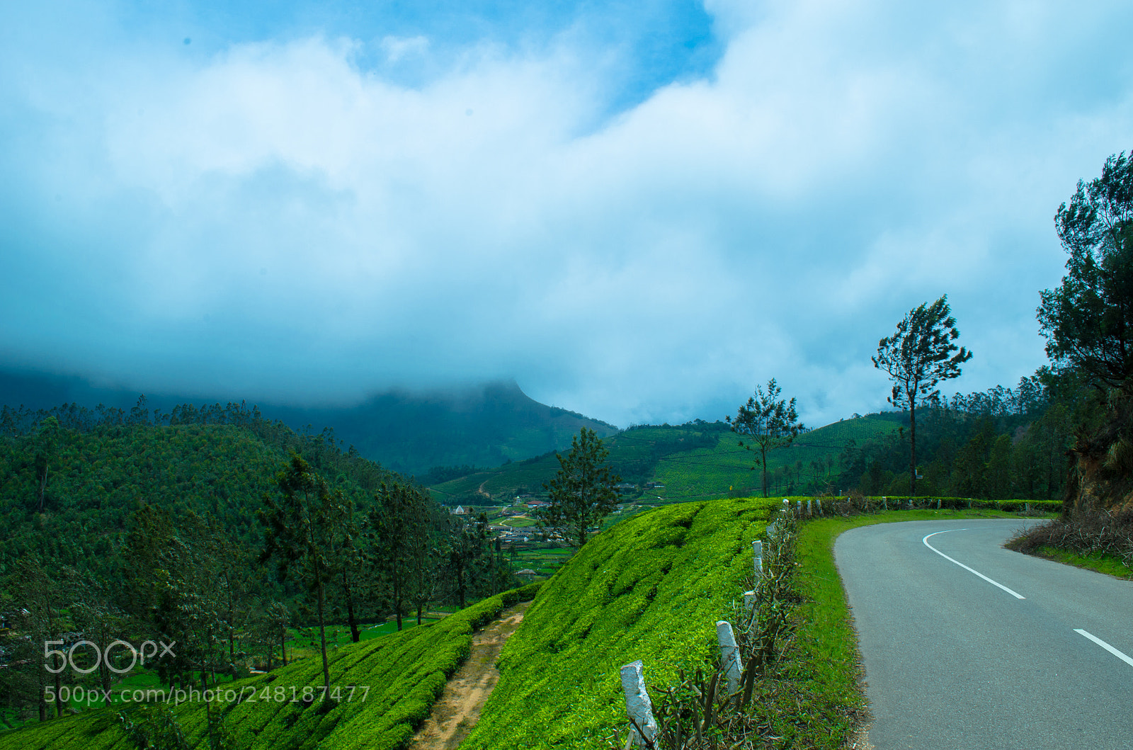 Nikon D5100 sample photo. Road to munnar photography