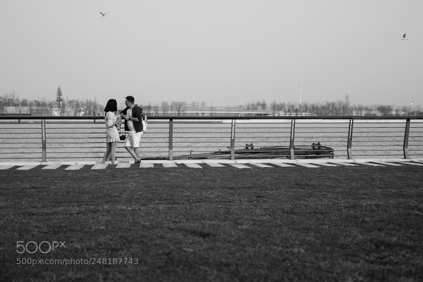 Sony a7 sample photo. Untitled photography