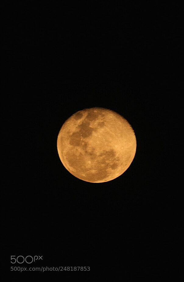 Canon EOS 700D (EOS Rebel T5i / EOS Kiss X7i) sample photo. Moon photography