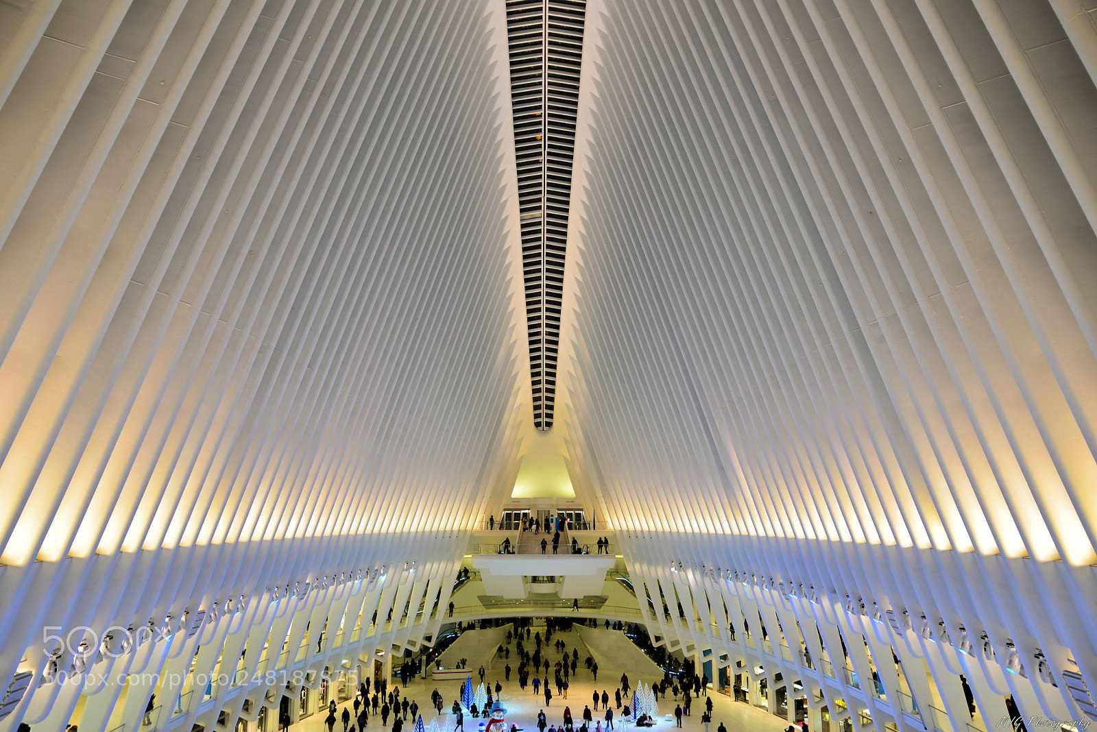 Nikon D610 sample photo. The oculus photography