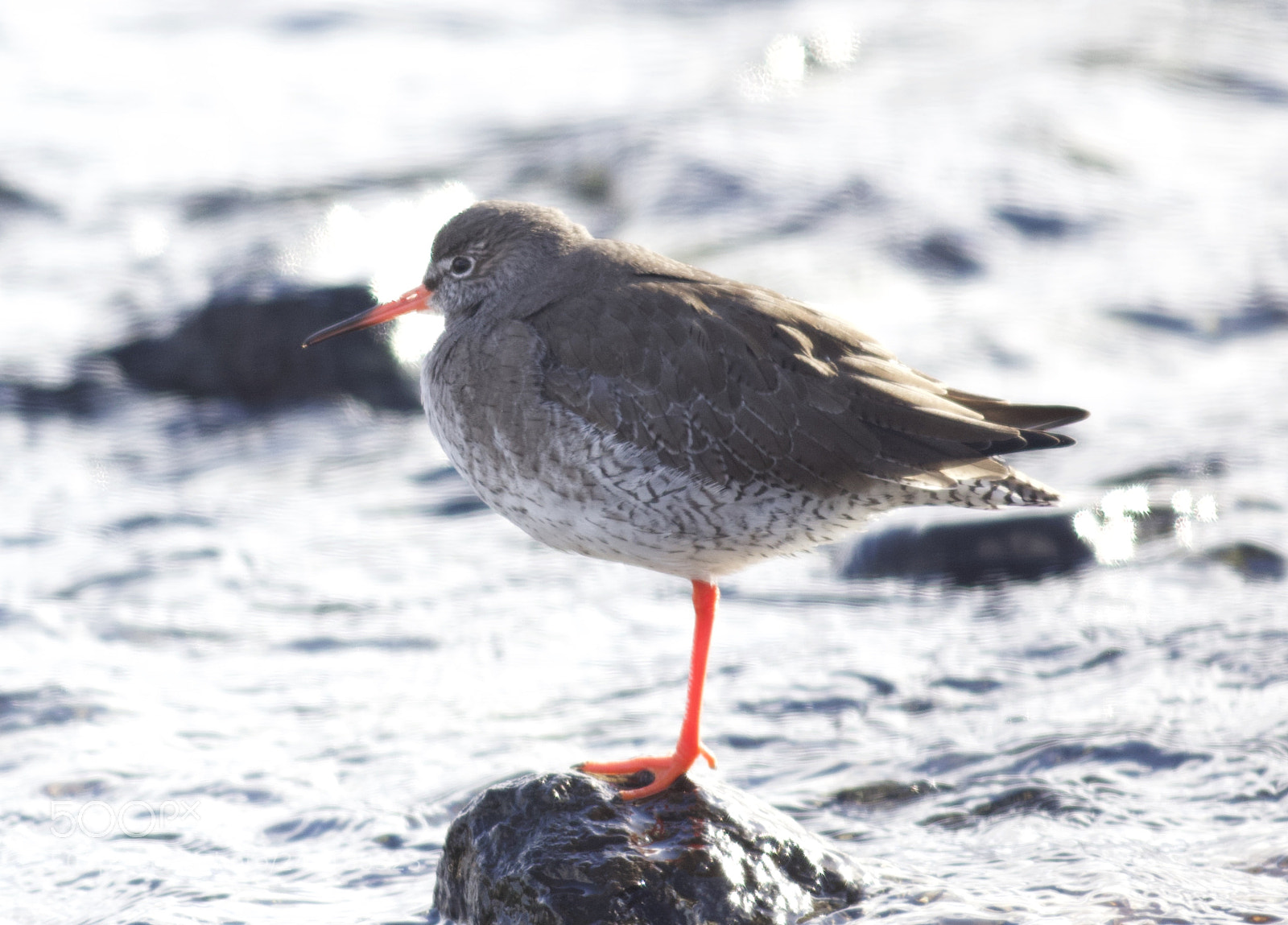 Canon EOS 7D Mark II sample photo. Faroe island d. 4/3 2018 photography