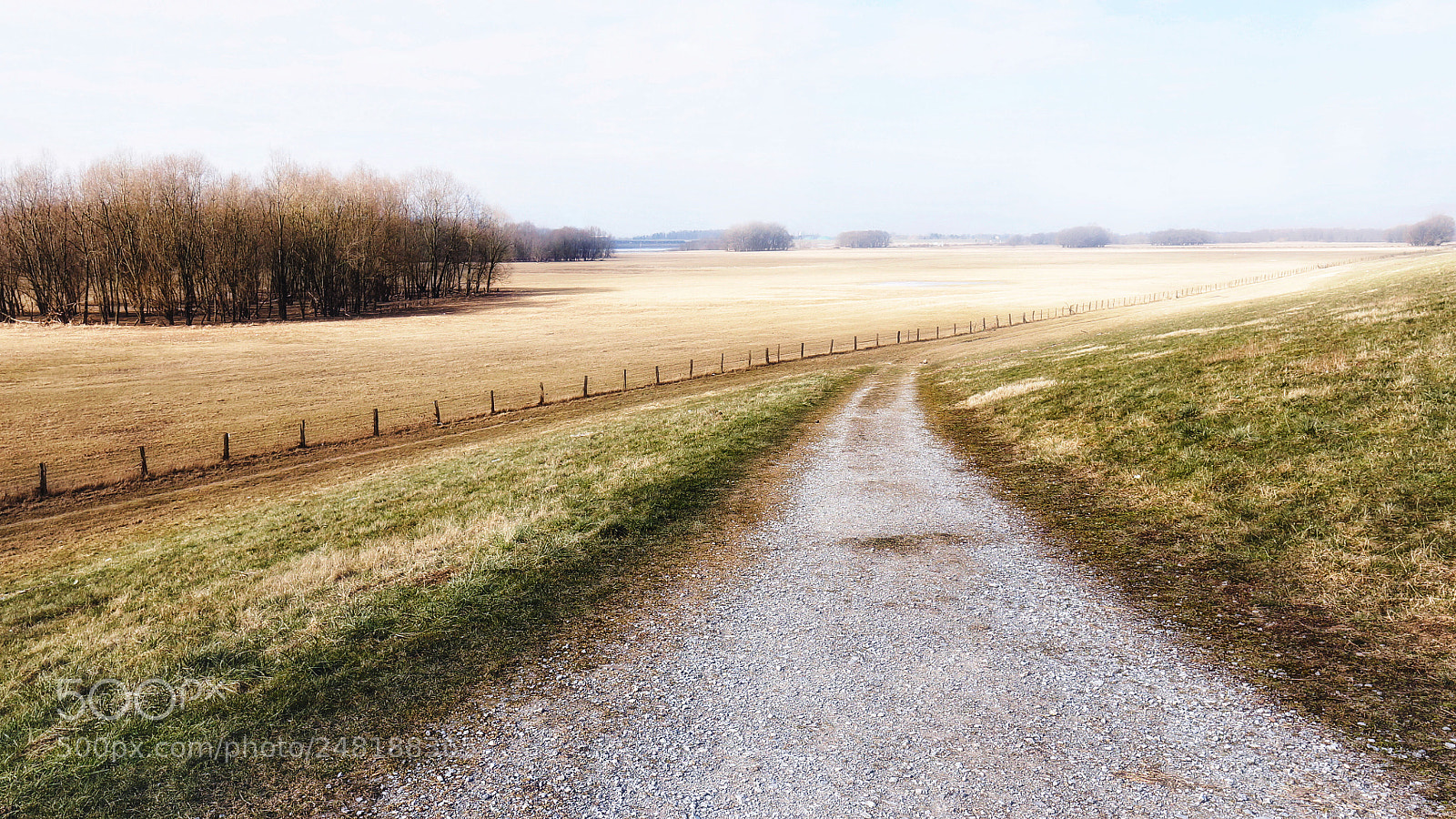 Sony Alpha NEX-6 sample photo. Rheinauen duisburg walsum photography