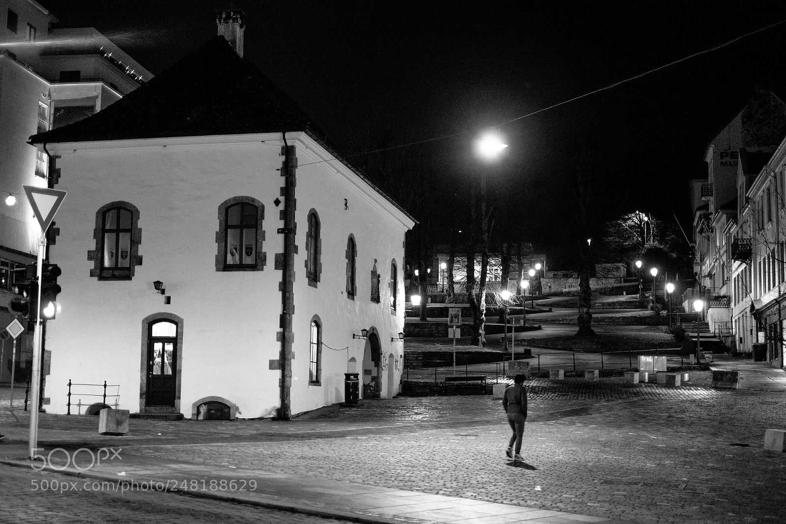 Fujifilm X-T1 sample photo. Bergen serpentine photography