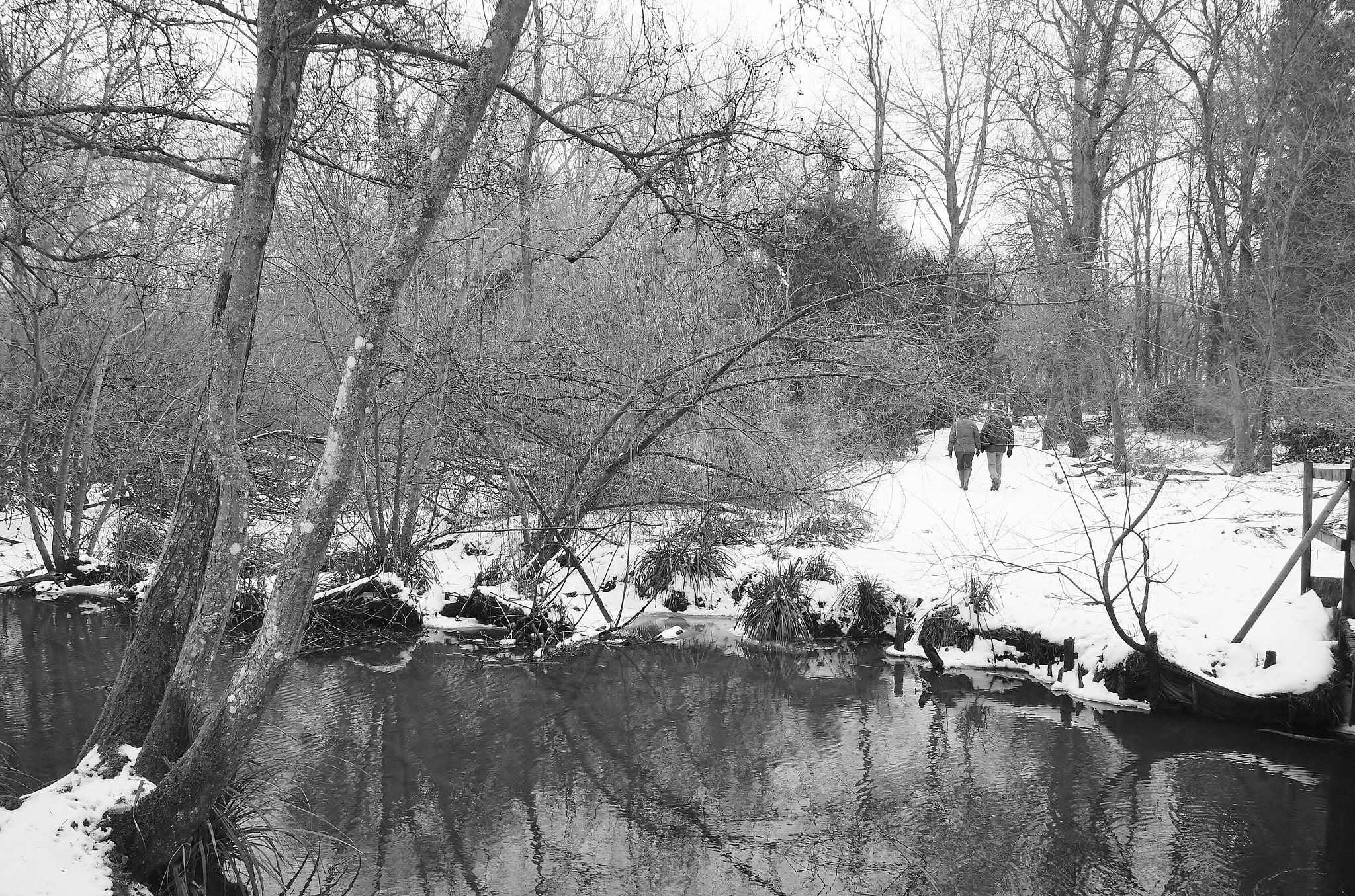 Sony Alpha DSLR-A380 sample photo. We are walking on the snow ... photography