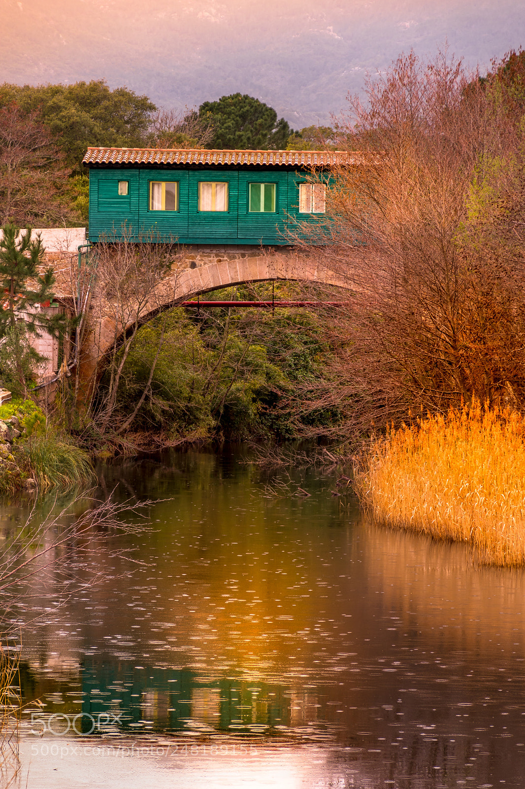 Nikon D7500 sample photo. Il y a toujours photography