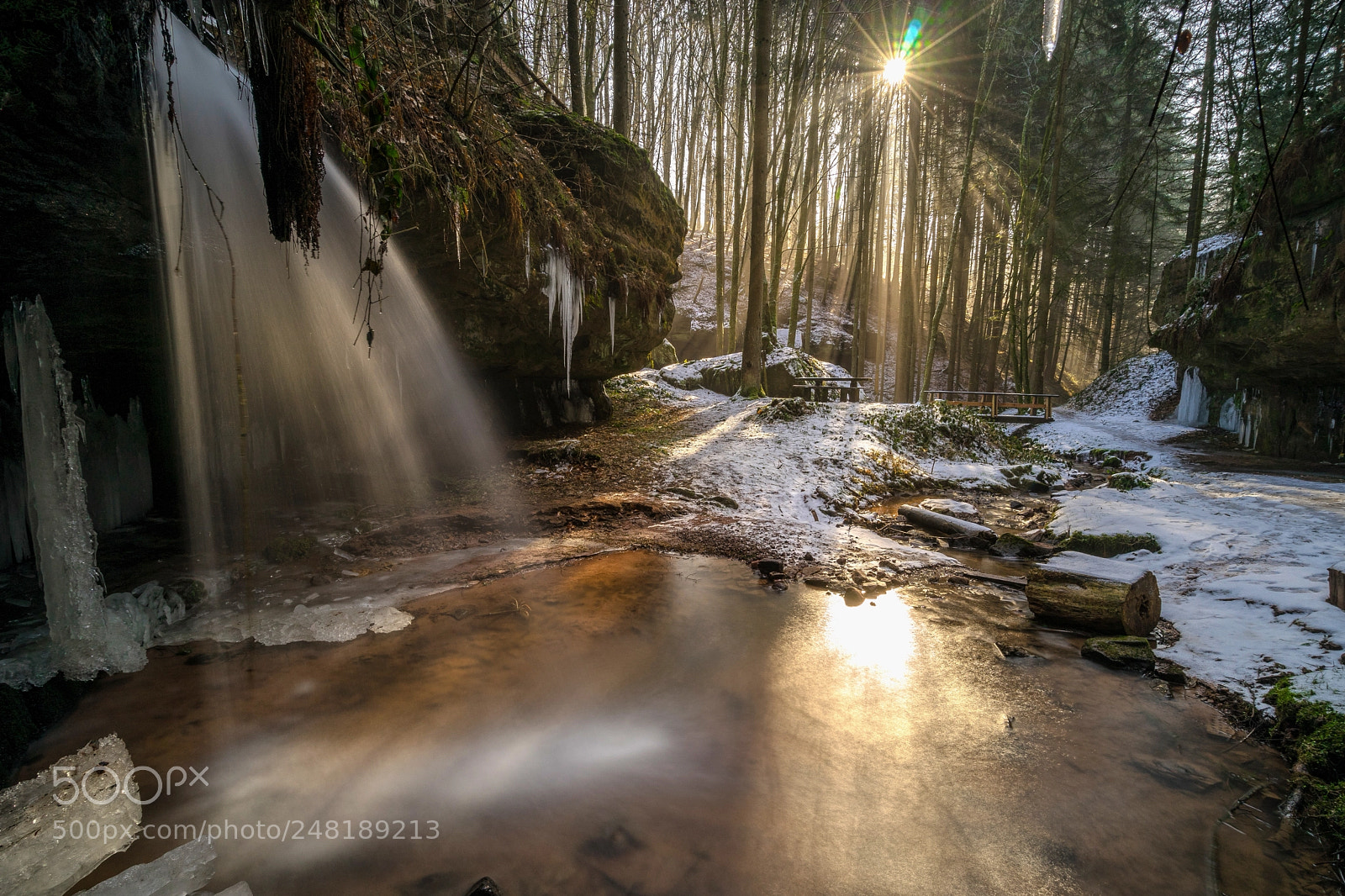 Sony a7 sample photo. Ice age at palatinate photography