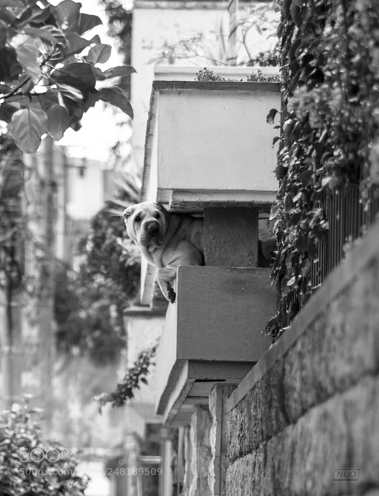 Nikon D5200 sample photo. Pd oct-14 photography