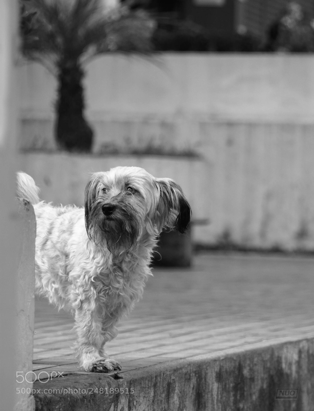 Nikon D5200 sample photo. Pd oct-14 photography