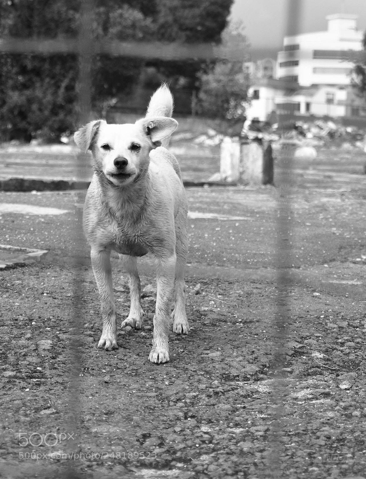 Nikon D5200 sample photo. Pd oct-14 photography