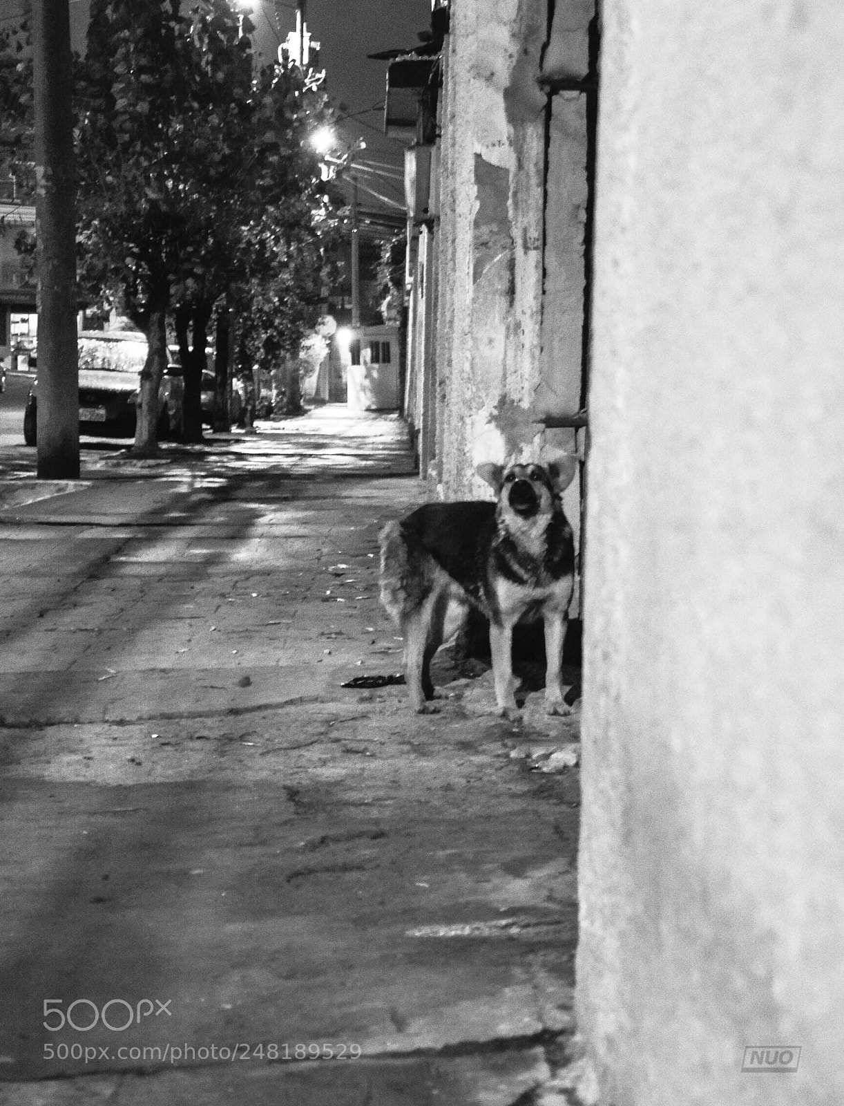 Nikon D5200 sample photo. Pd oct-14 photography