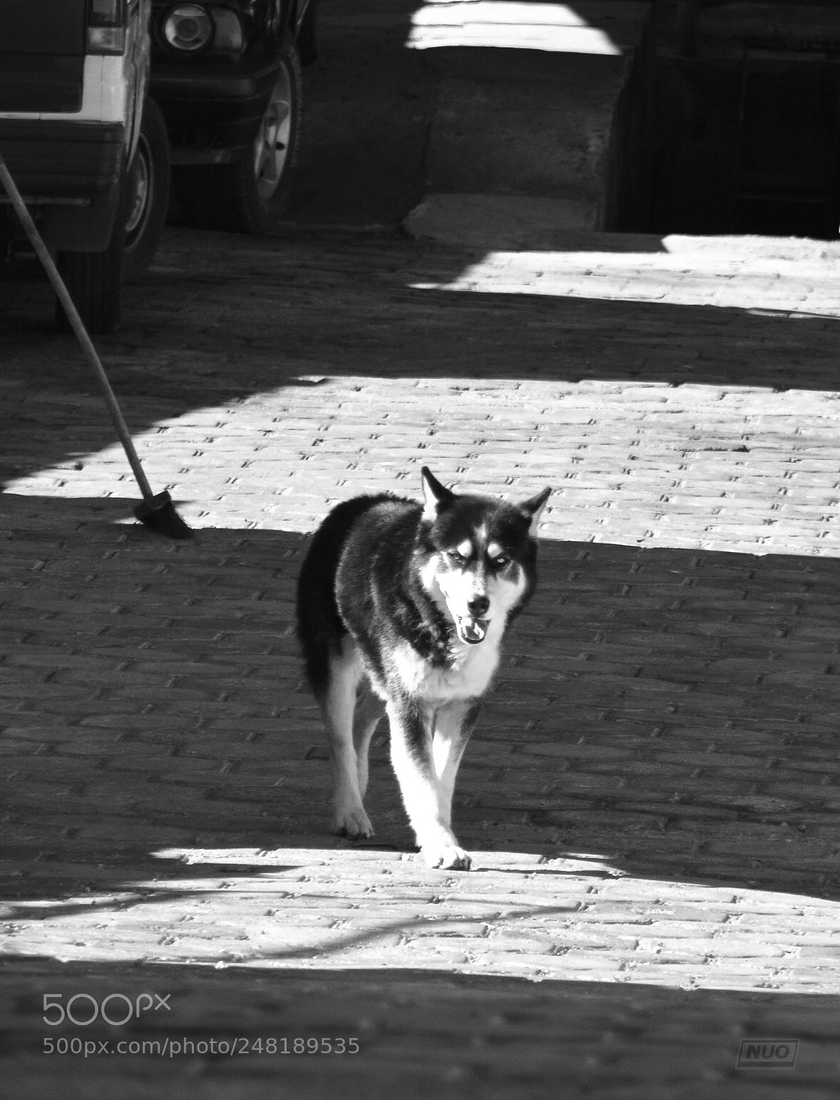 Nikon D5200 sample photo. Pd oct-14 photography