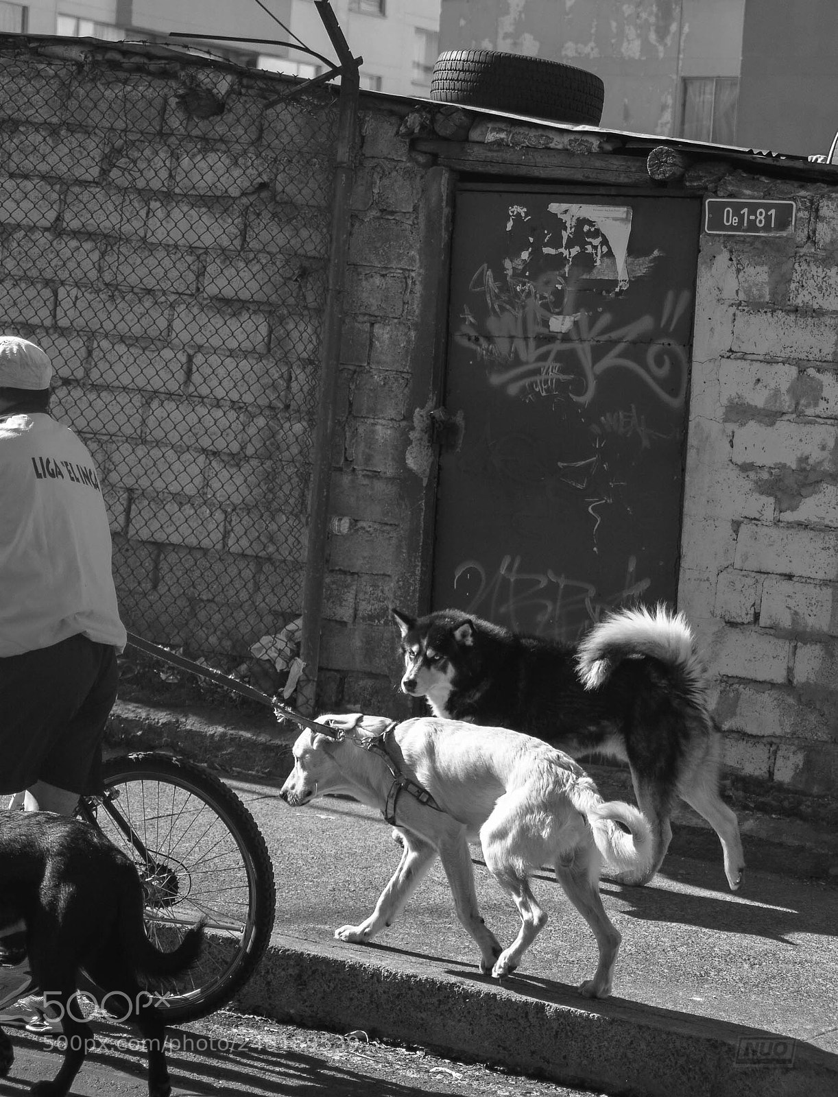 Nikon D5200 sample photo. Pd oct-14 photography