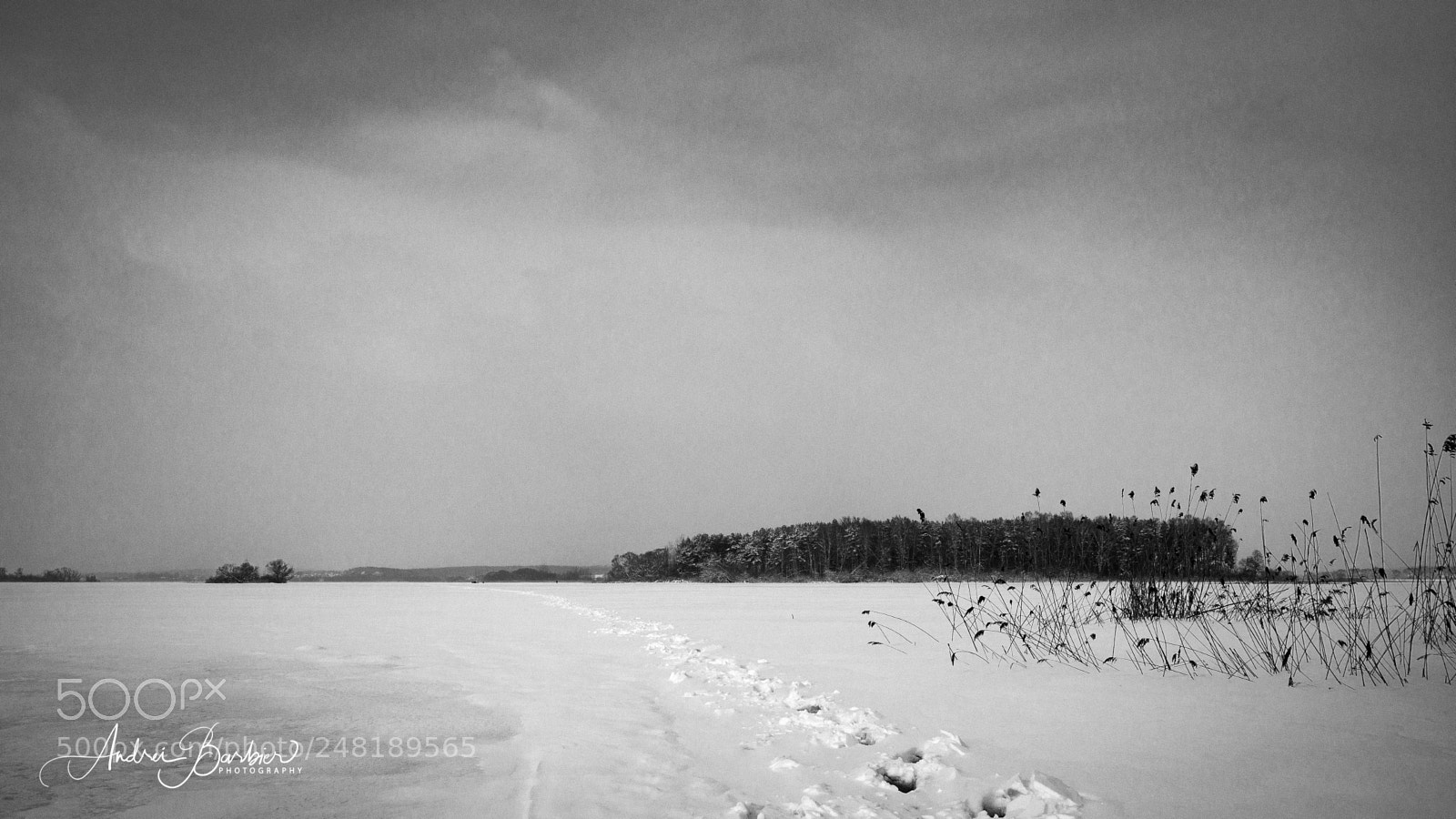Nikon D7100 sample photo. Road to fishing photography