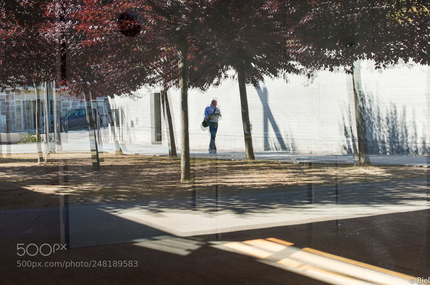 Nikon D610 sample photo. Reflex photography