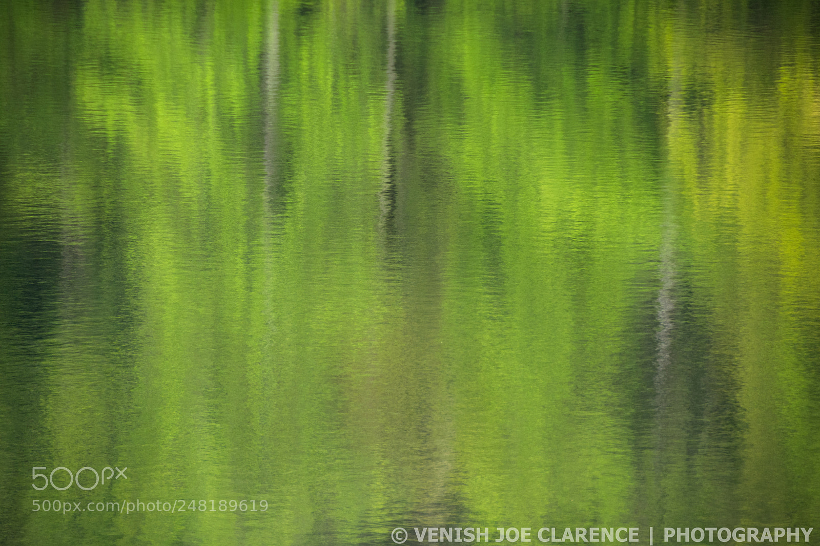 Nikon D5300 sample photo. Reflection in hessian lake photography