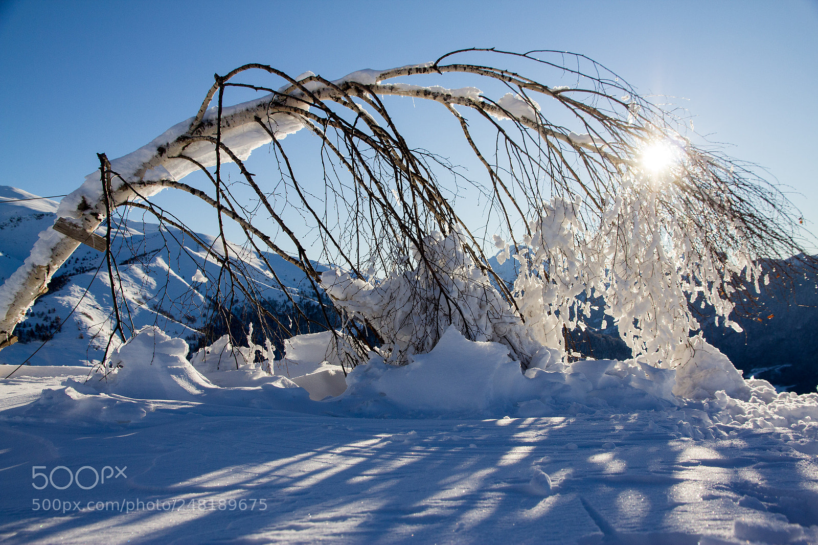 Canon EOS 60D sample photo. Heavy snow photography