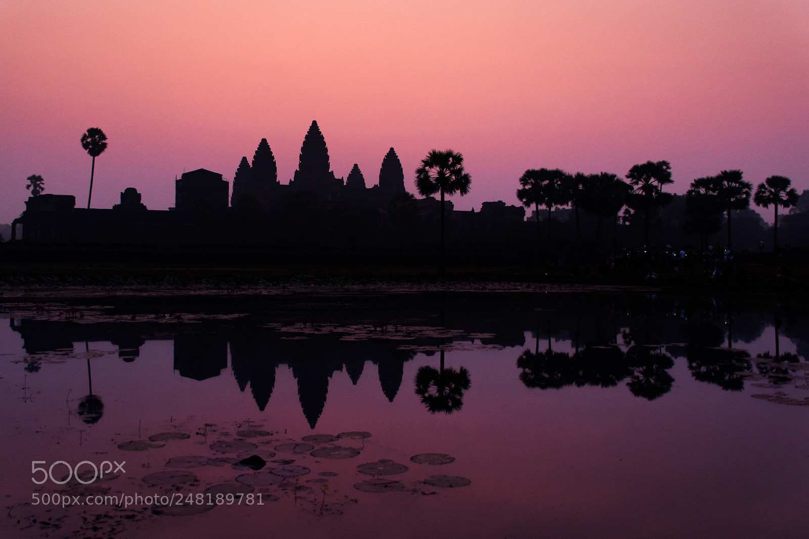 Nikon D5600 sample photo. Angkor wat, cambodia photography