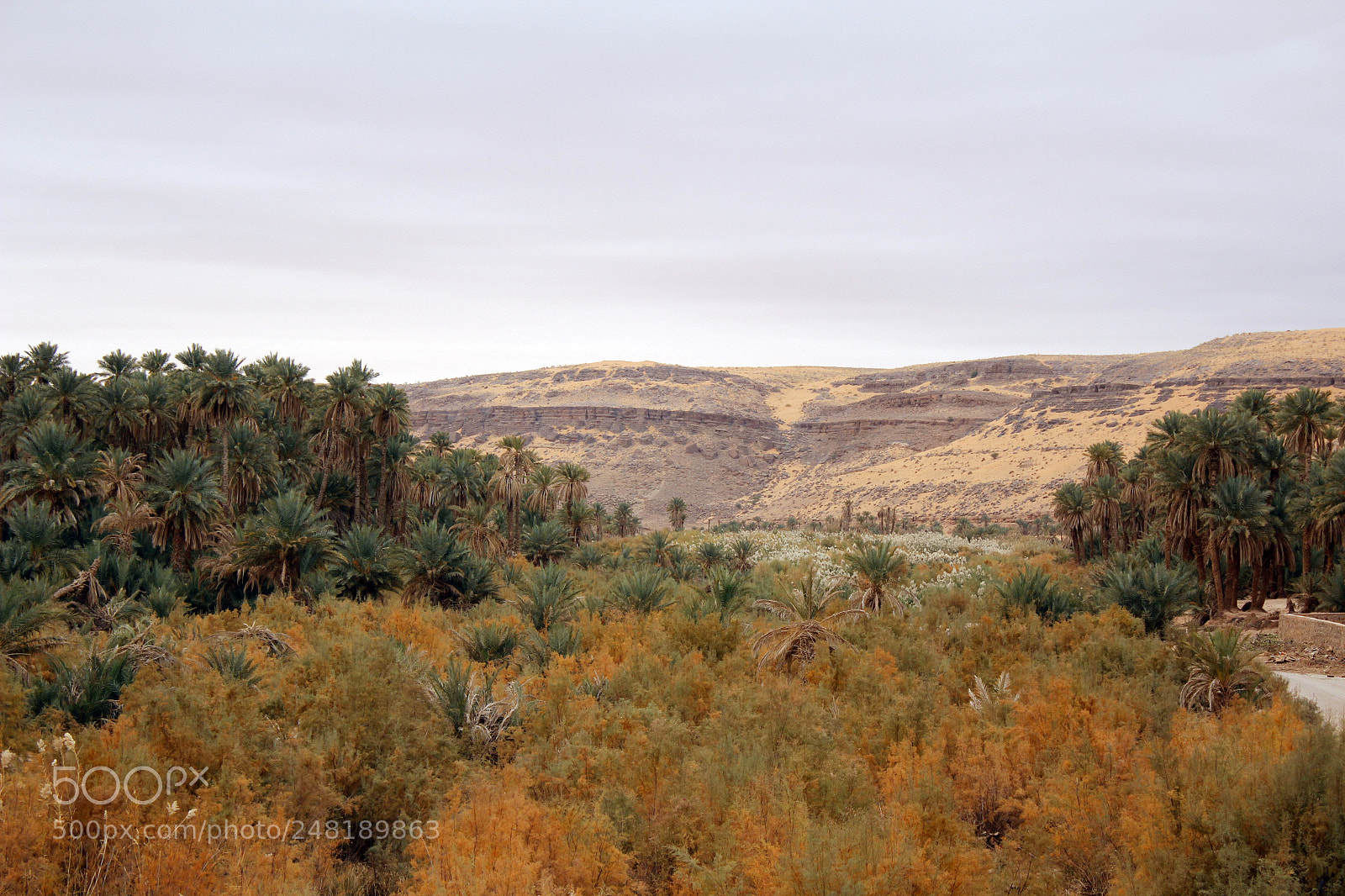 Canon EOS 600D (Rebel EOS T3i / EOS Kiss X5) sample photo. 1.the sahara of algeria photography