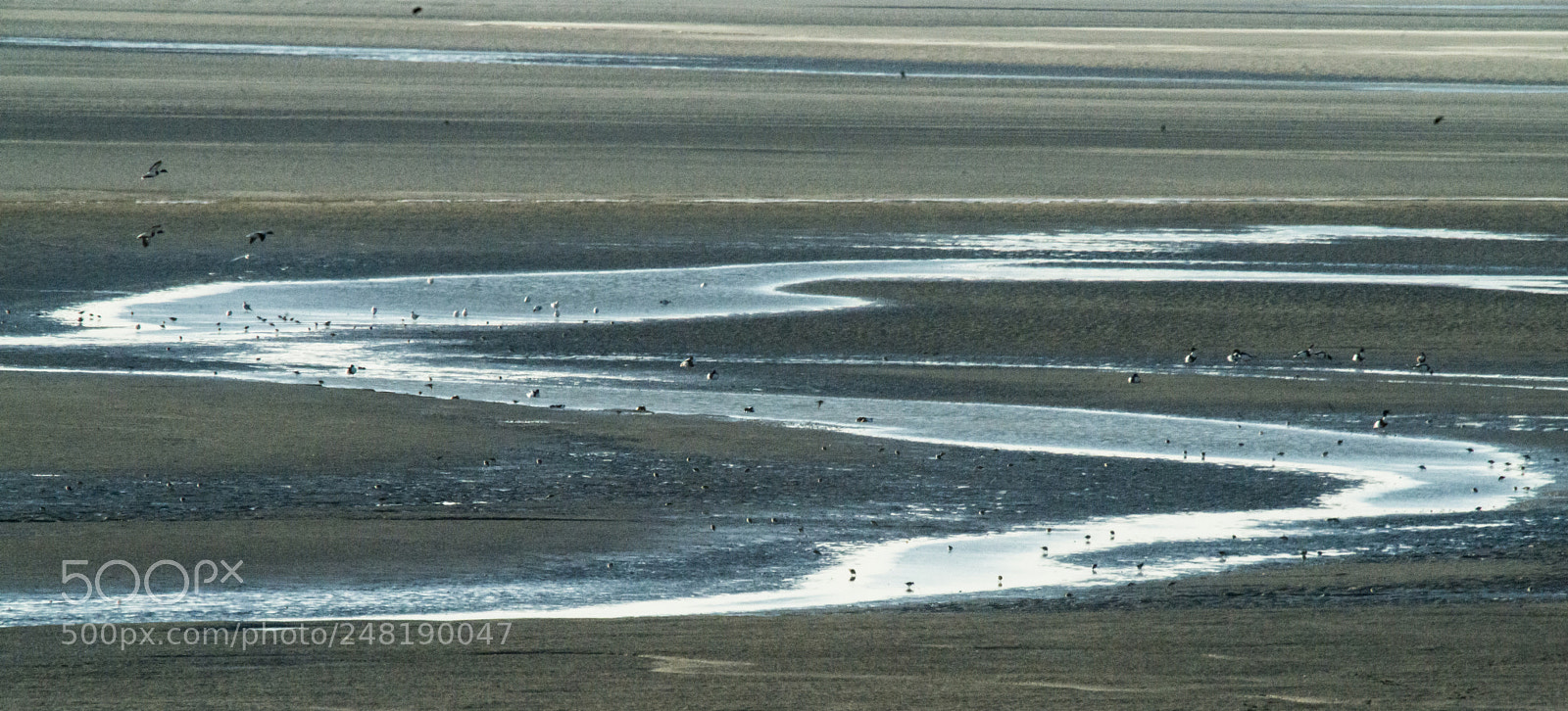 Nikon D800 sample photo. At the sea with photography