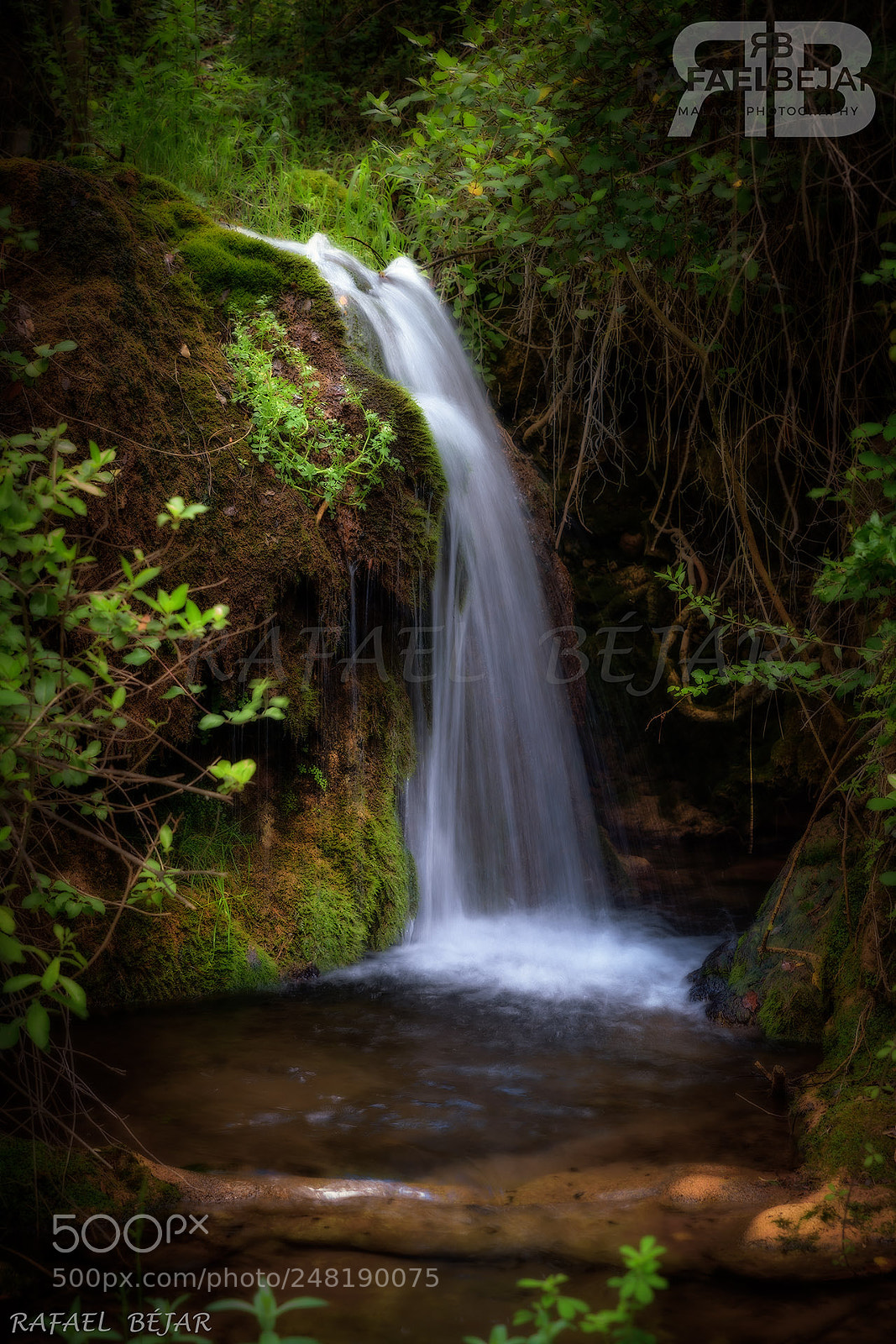 Nikon D800 sample photo. Cascada photography