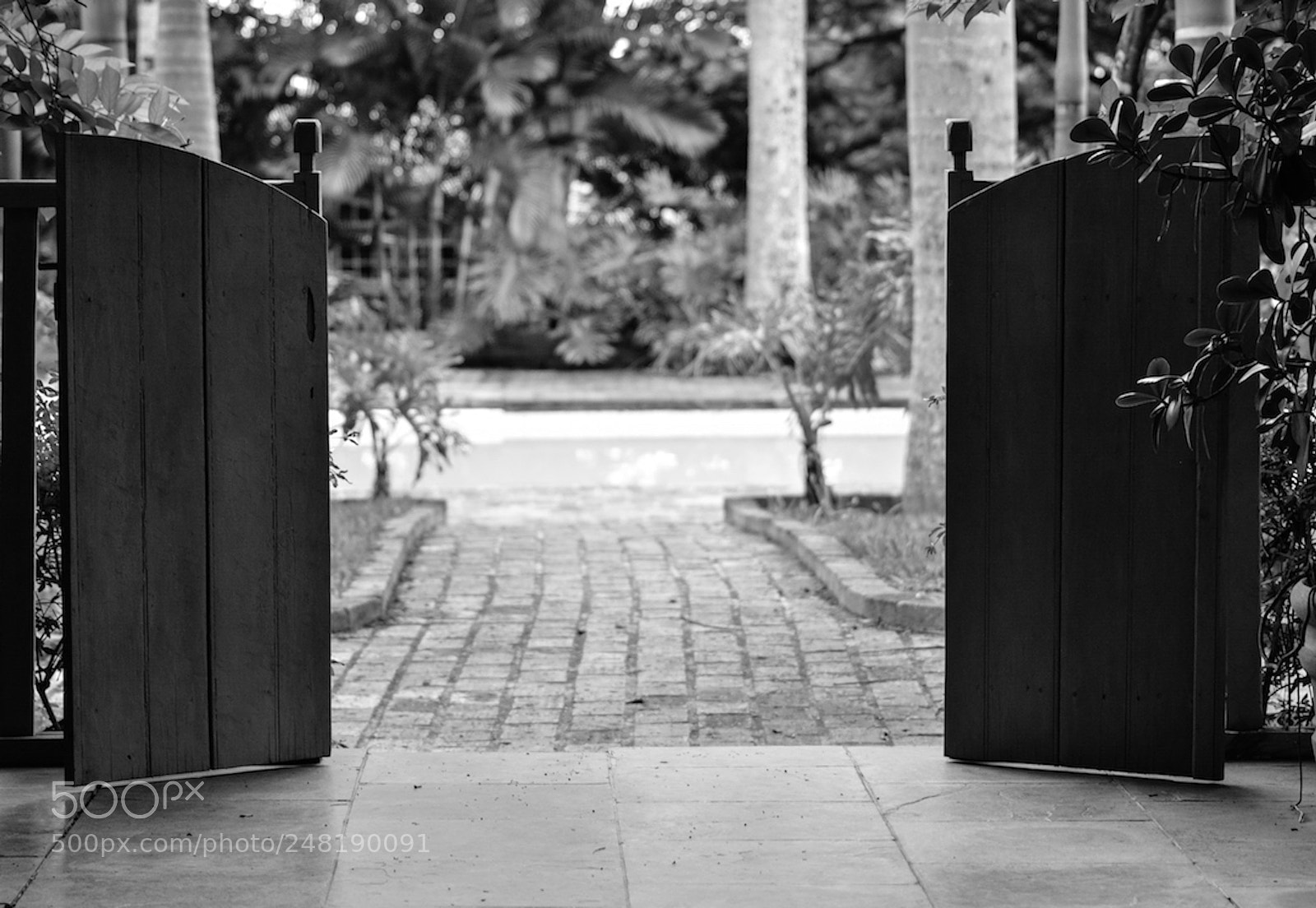 Nikon D5200 sample photo. Gargolândia photography