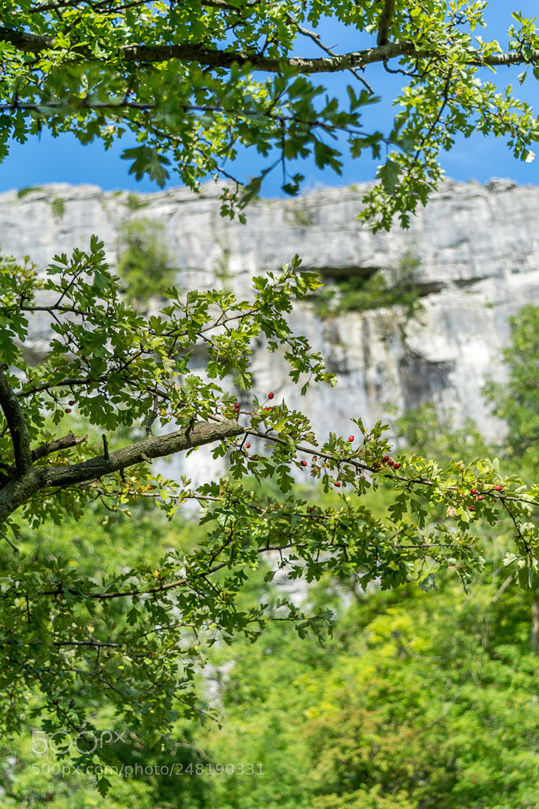 Nikon D5200 sample photo. Malham tarn photography