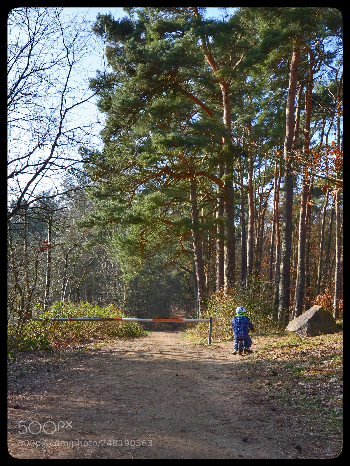 Nikon D5100 sample photo. Untitled photography